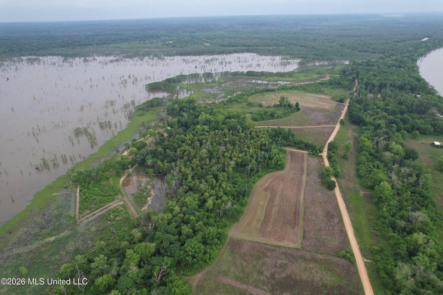 88 Acre Hunting Property – Wilkinson County, MS