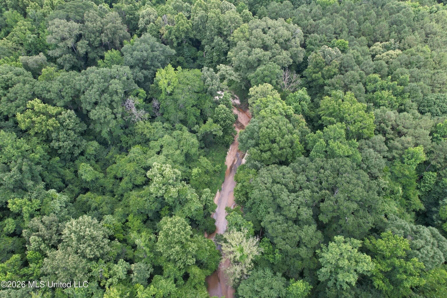 44 Acre Hunting Land in Wilkinson County, MS