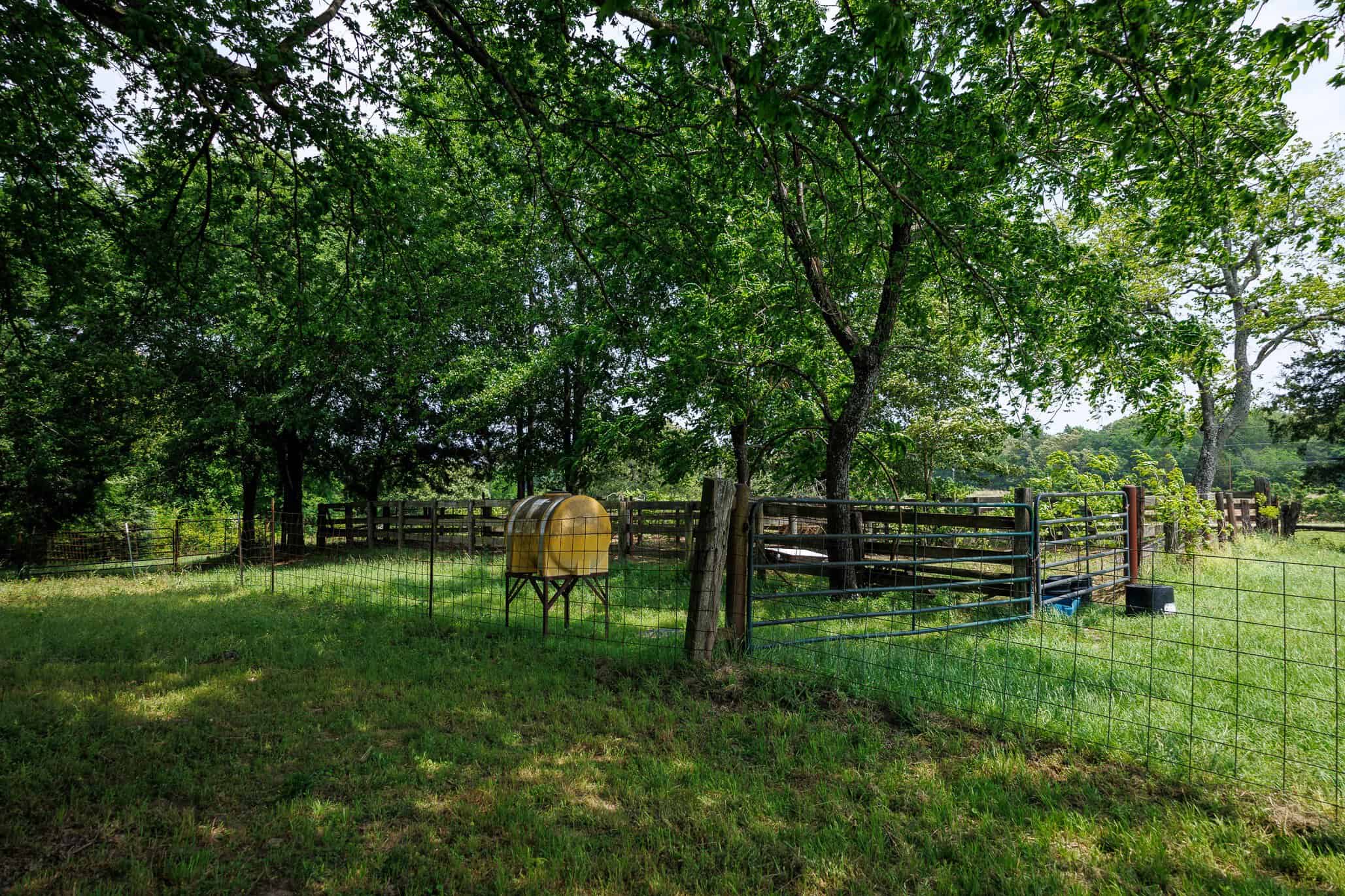 47.79-Acre Hunting Land with Cabin for Sale Ben Wheeler TX