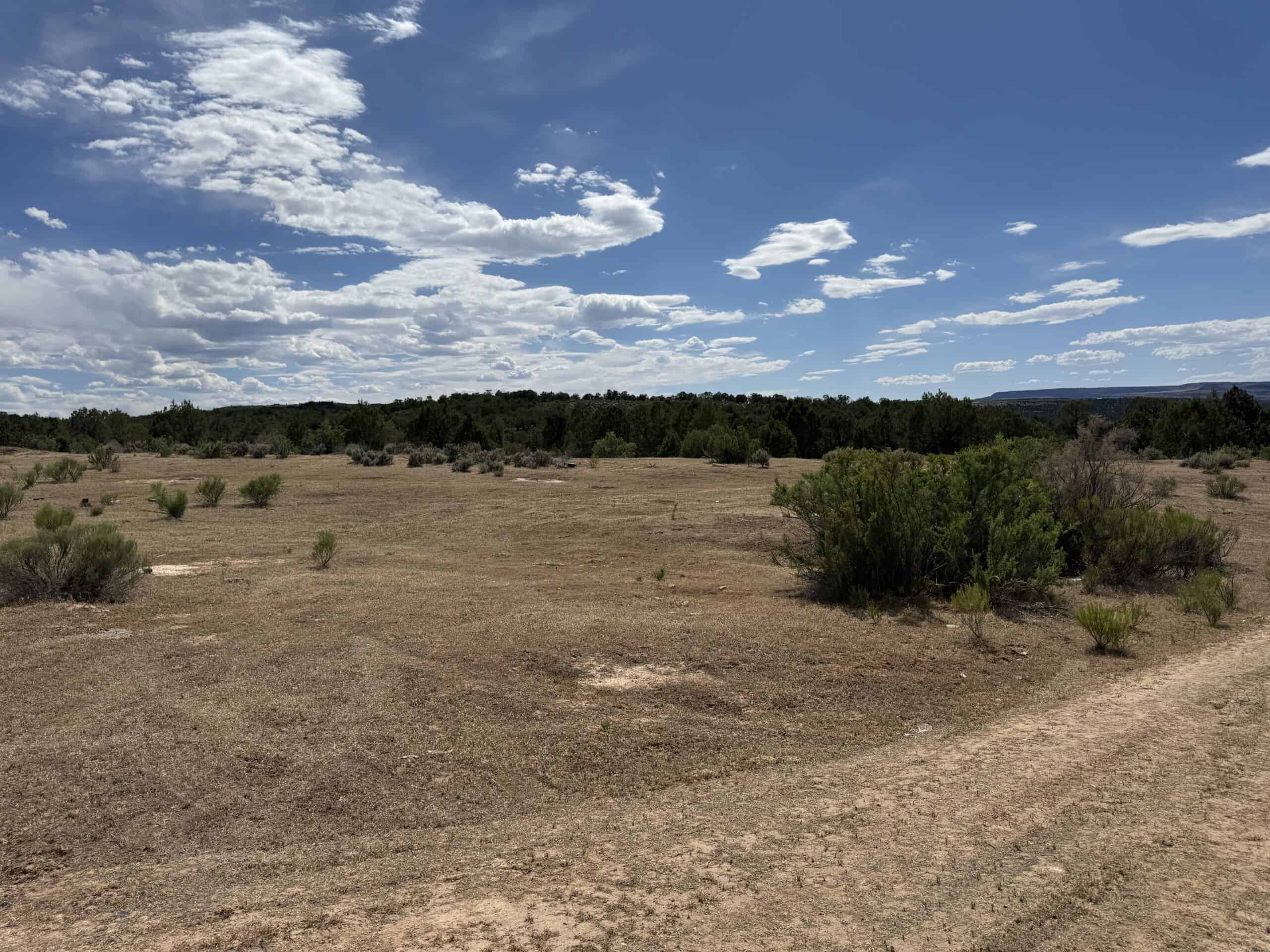 Home and Acreage For Sale on Western Slope of Colorado