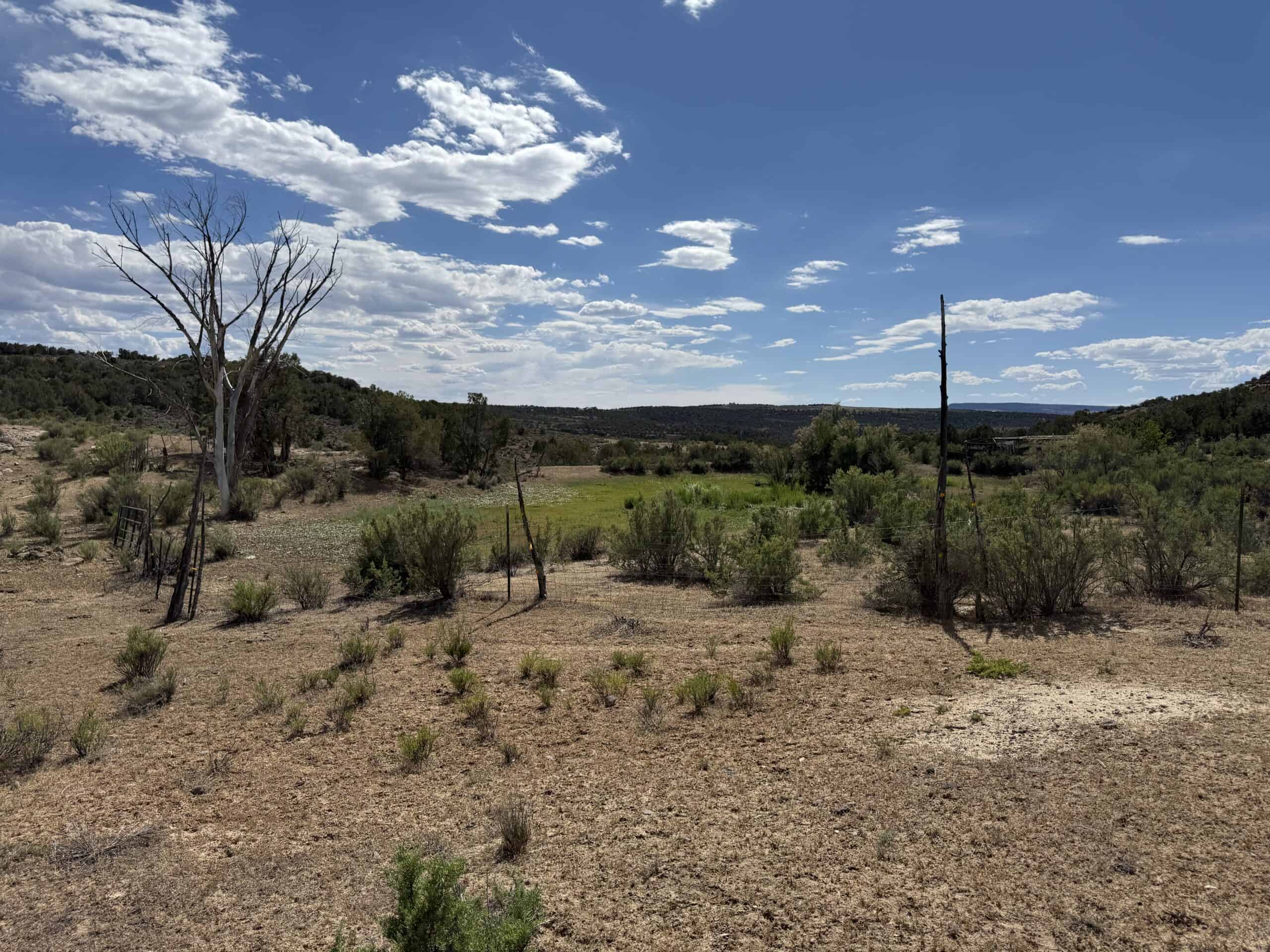 Home and Acreage For Sale on Western Slope of Colorado