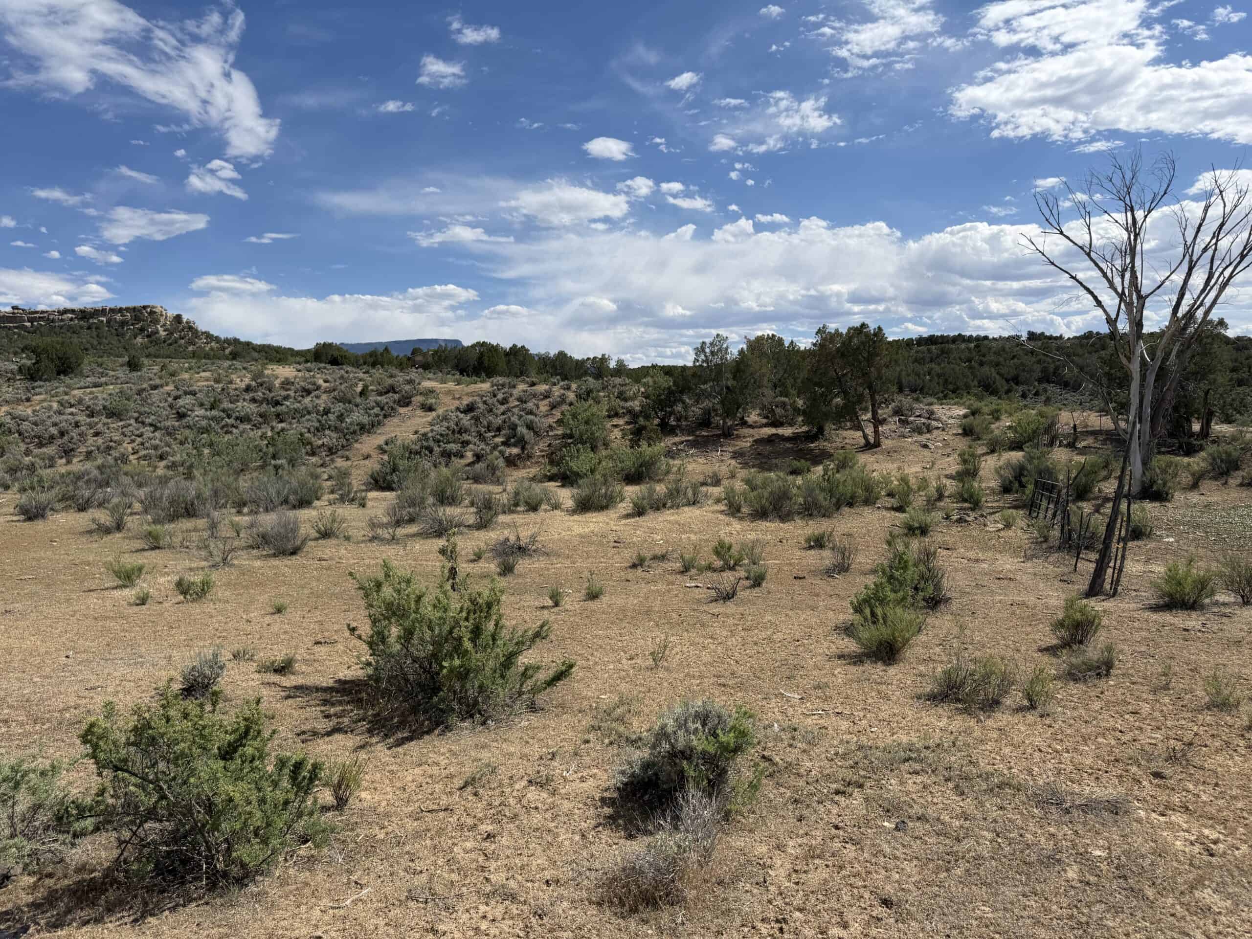 Home and Acreage For Sale on Western Slope of Colorado
