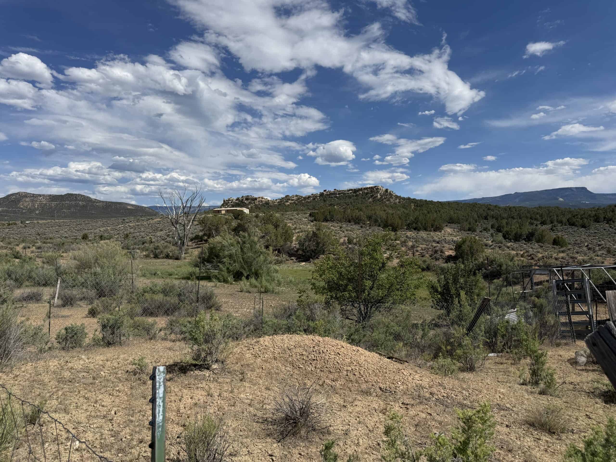 Home and Acreage For Sale on Western Slope of Colorado