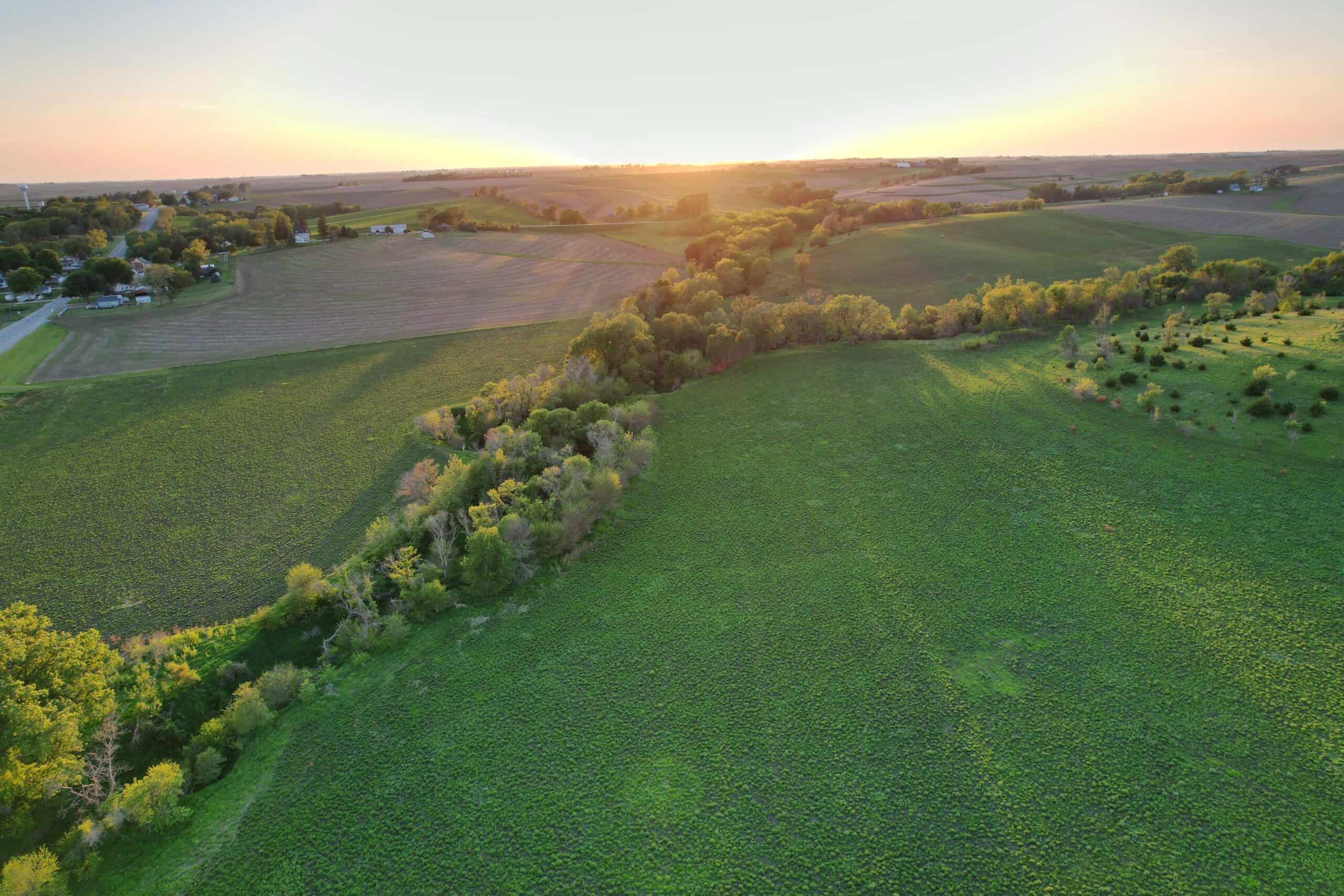 Western Iowa Income Producing Farm