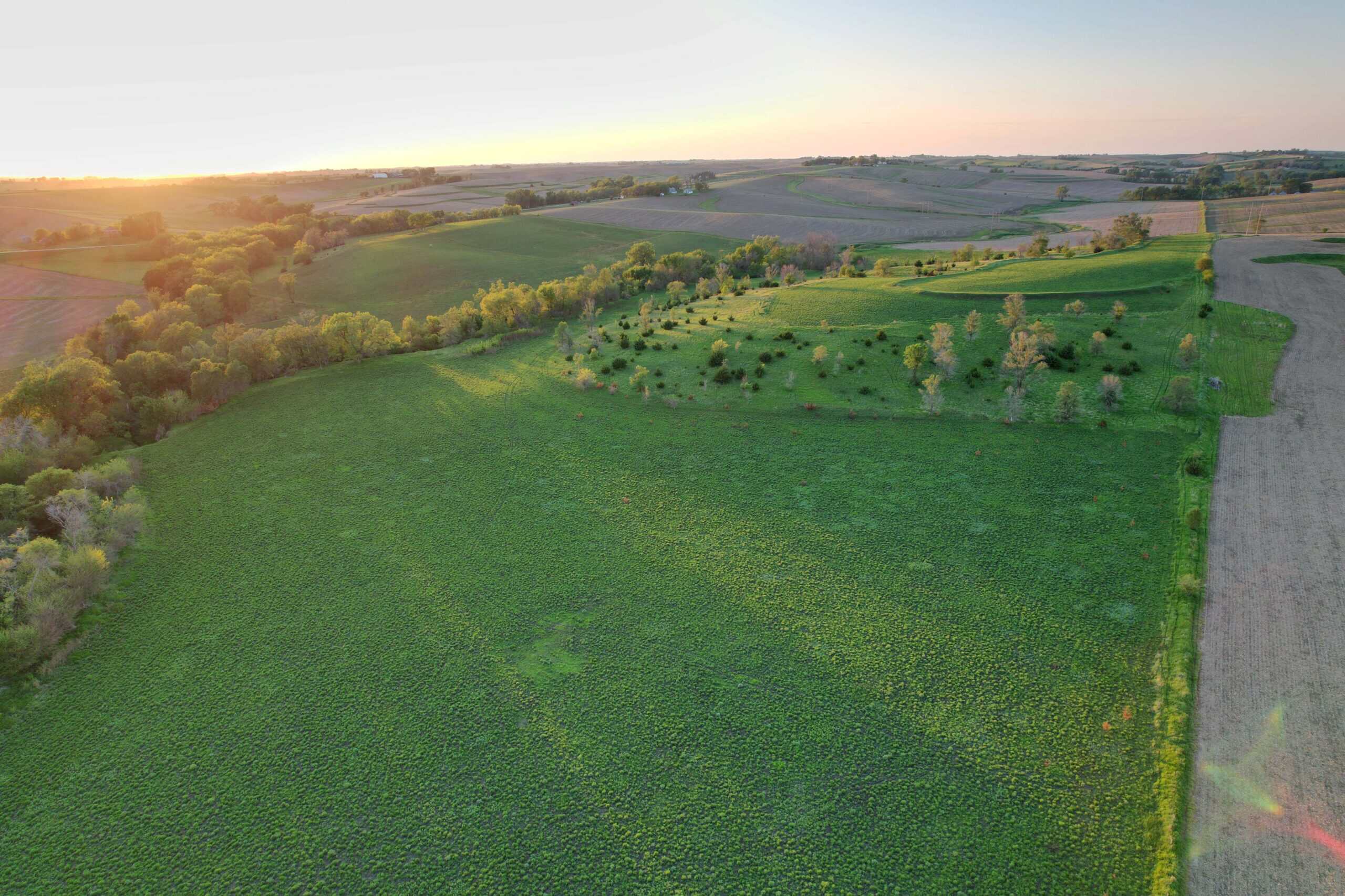 Western Iowa Income Producing Farm