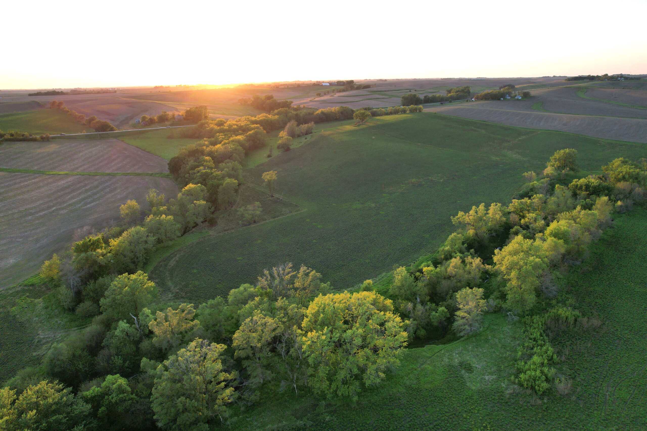 Western Iowa Income Producing Farm