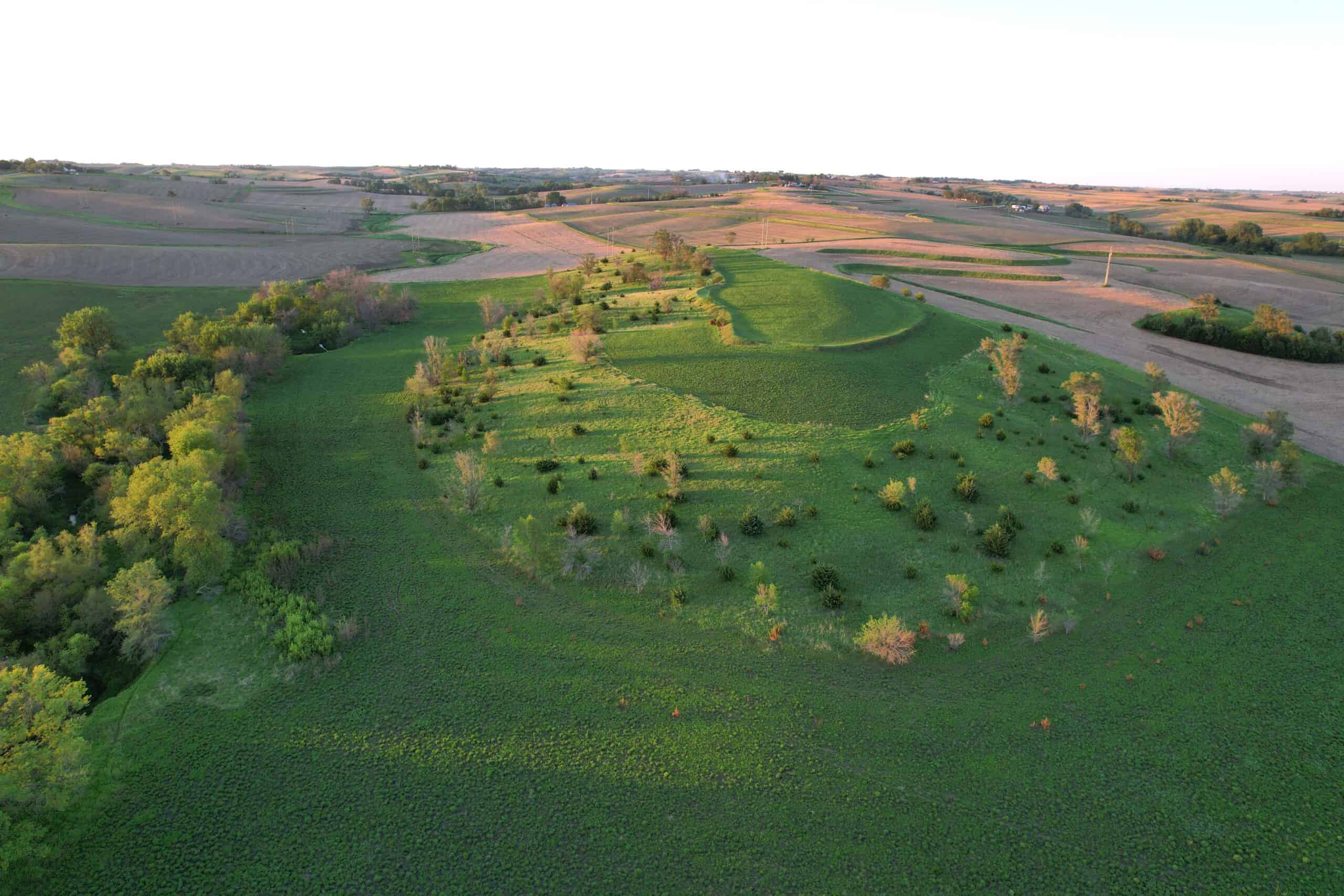 Western Iowa Income Producing Farm
