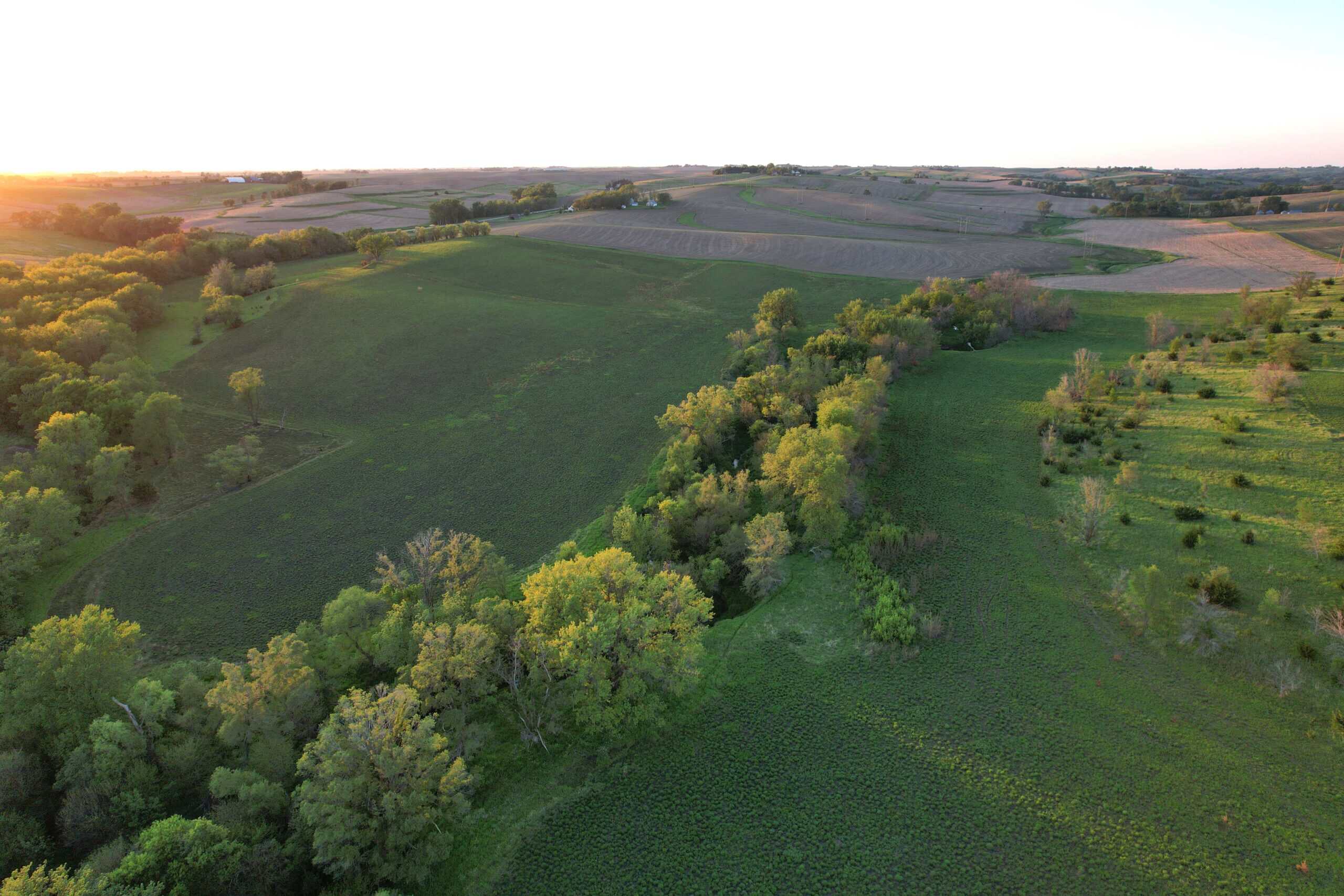 Western Iowa Income Producing Farm