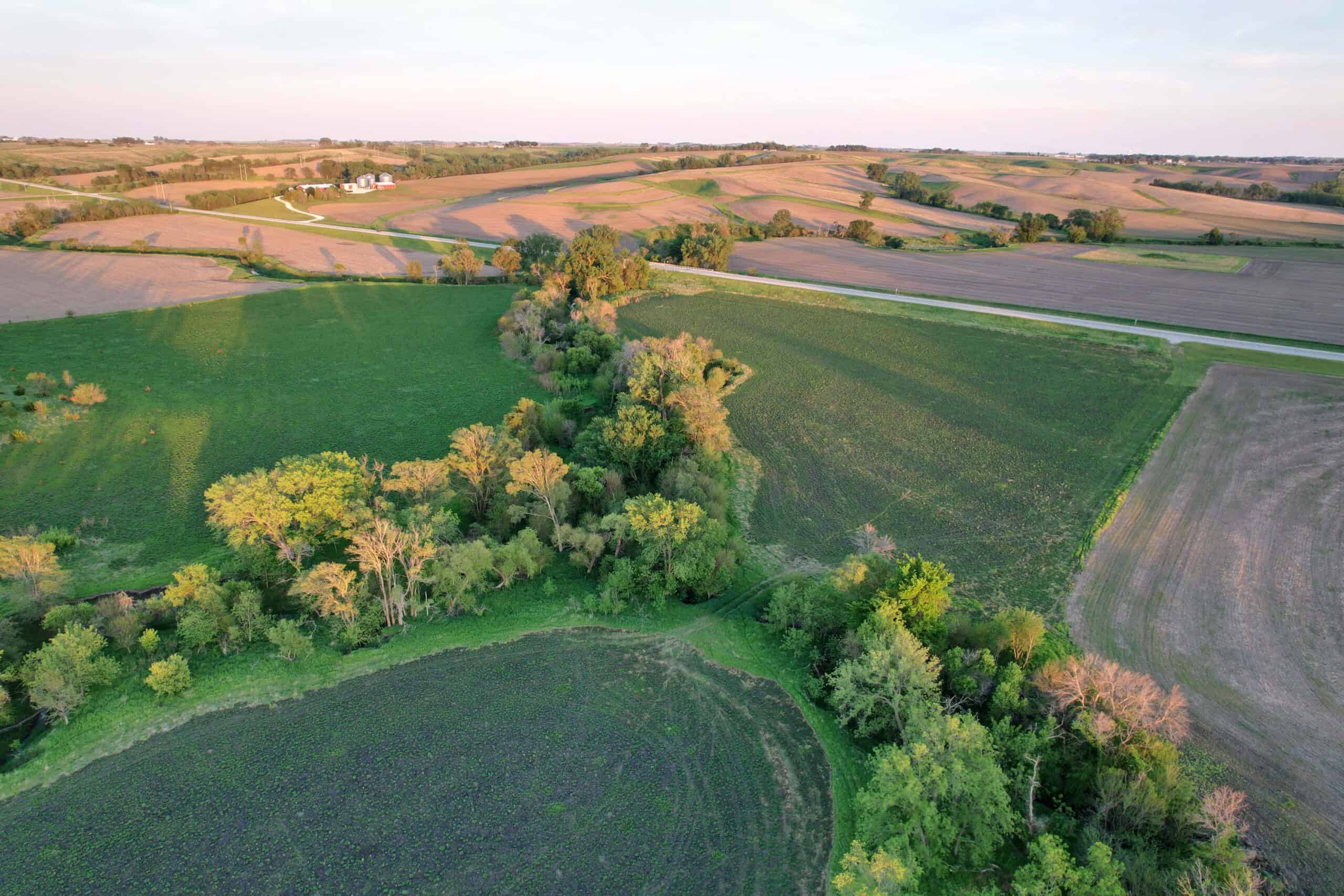 Western Iowa Income Producing Farm