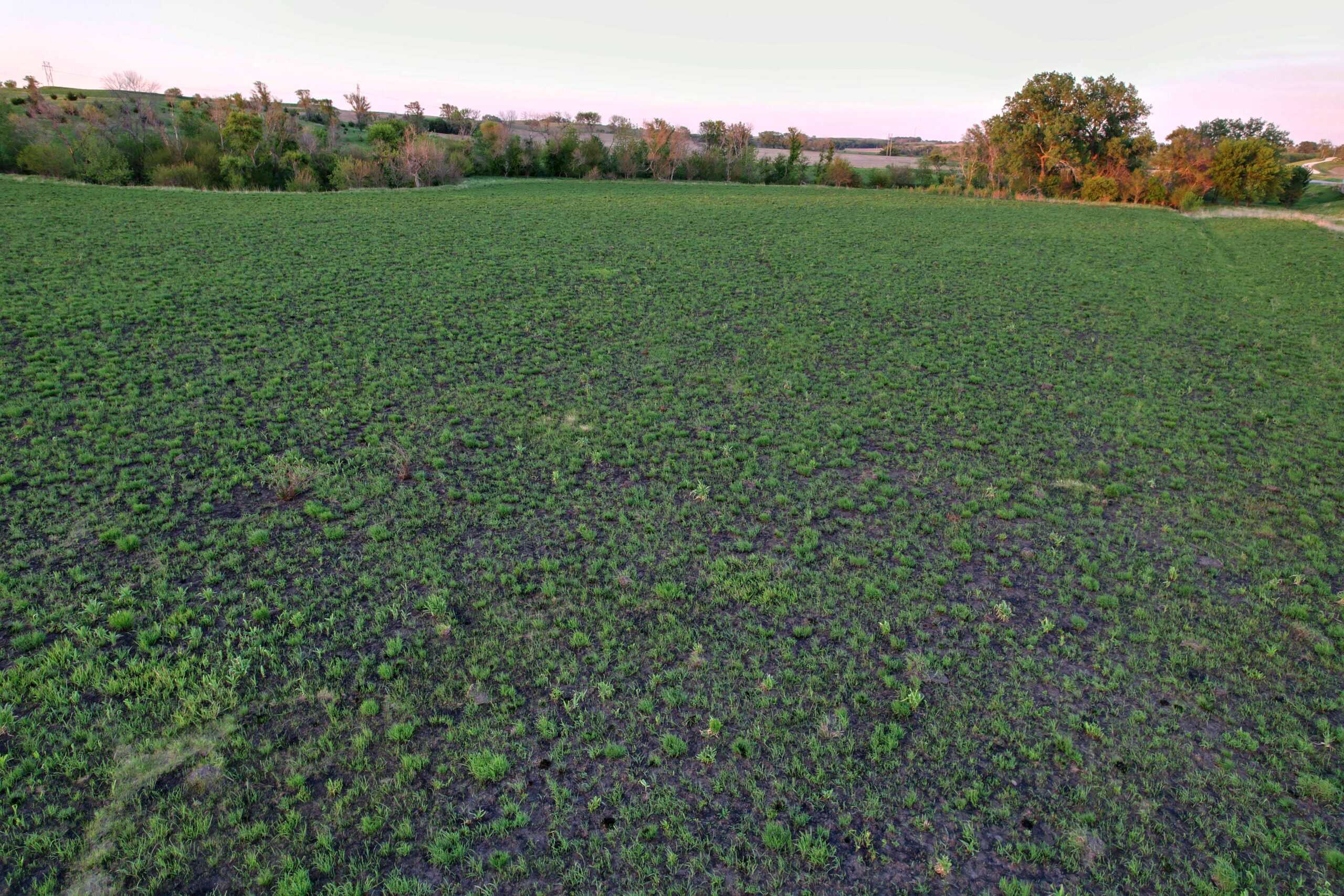 Western Iowa Income Producing Farm