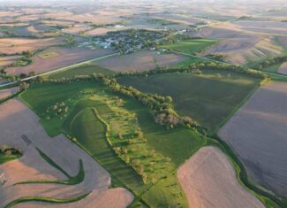 Western Iowa Income Producing Farm
