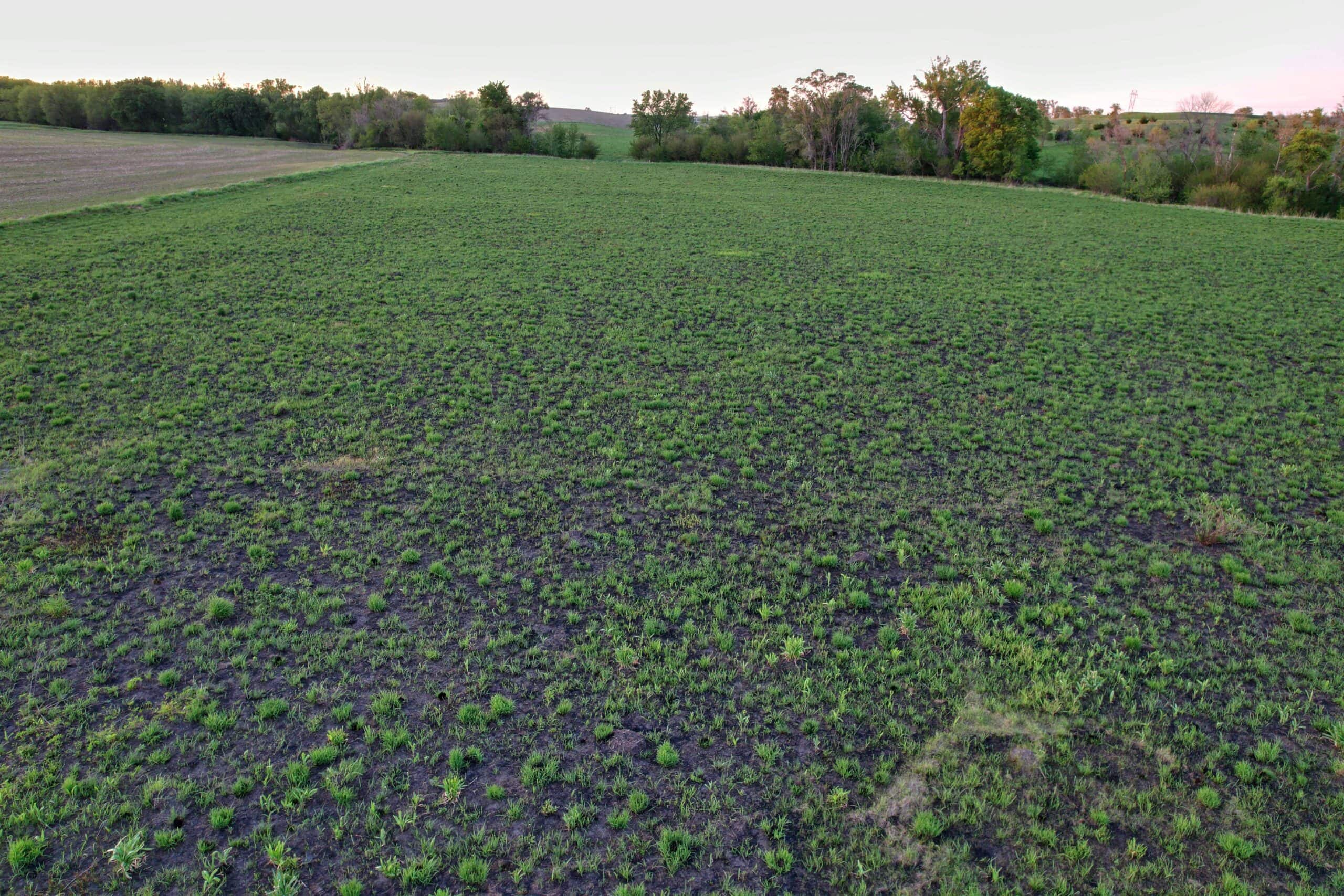 Western Iowa Income Producing Farm