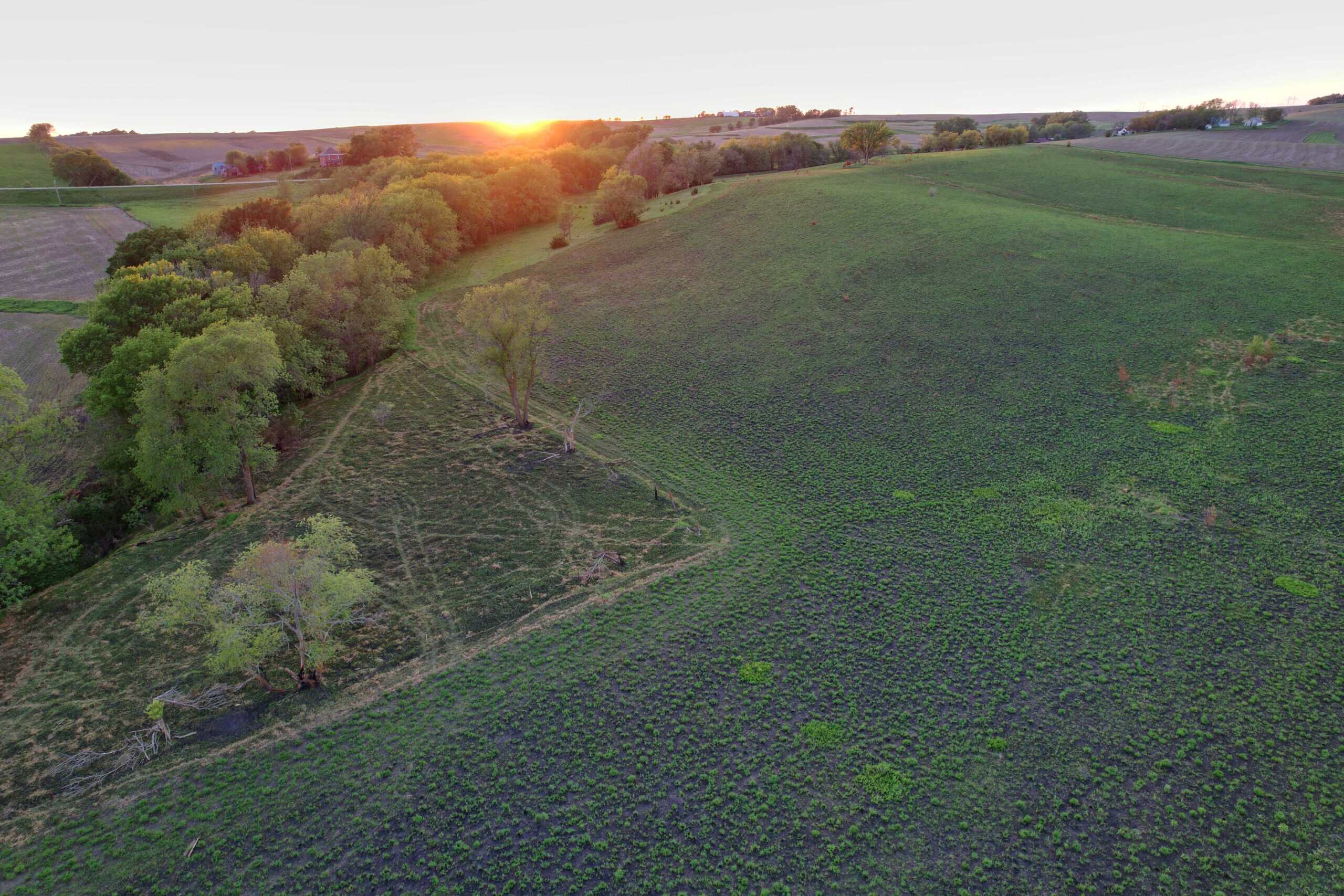 Western Iowa Income Producing Farm