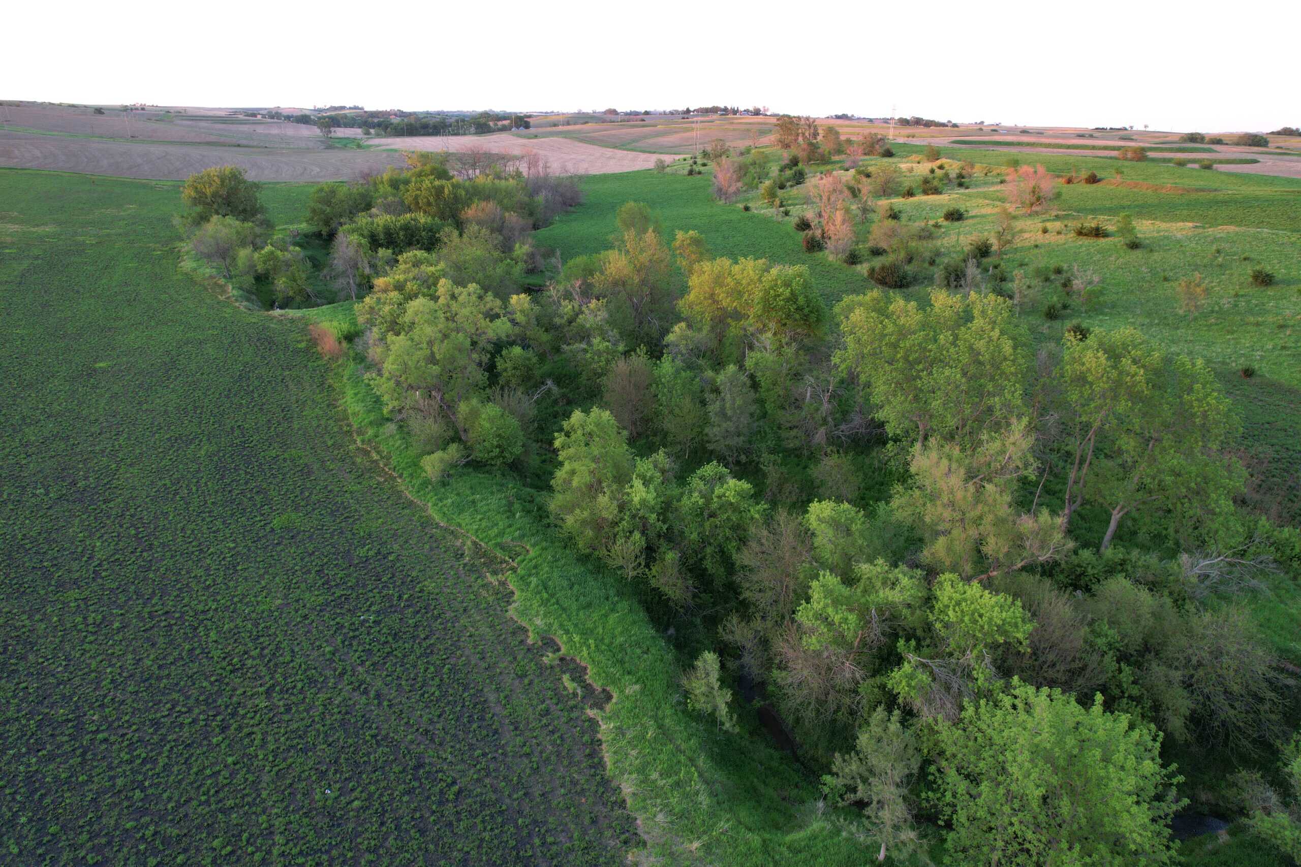 Western Iowa Income Producing Farm