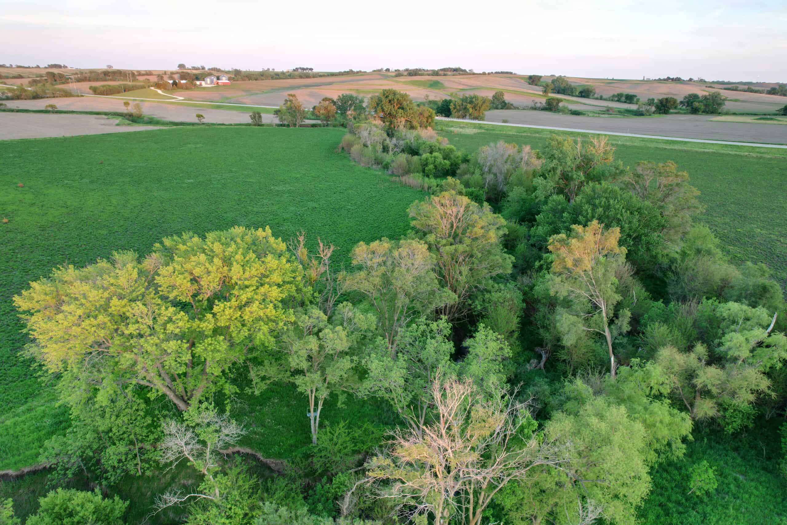 Western Iowa Income Producing Farm
