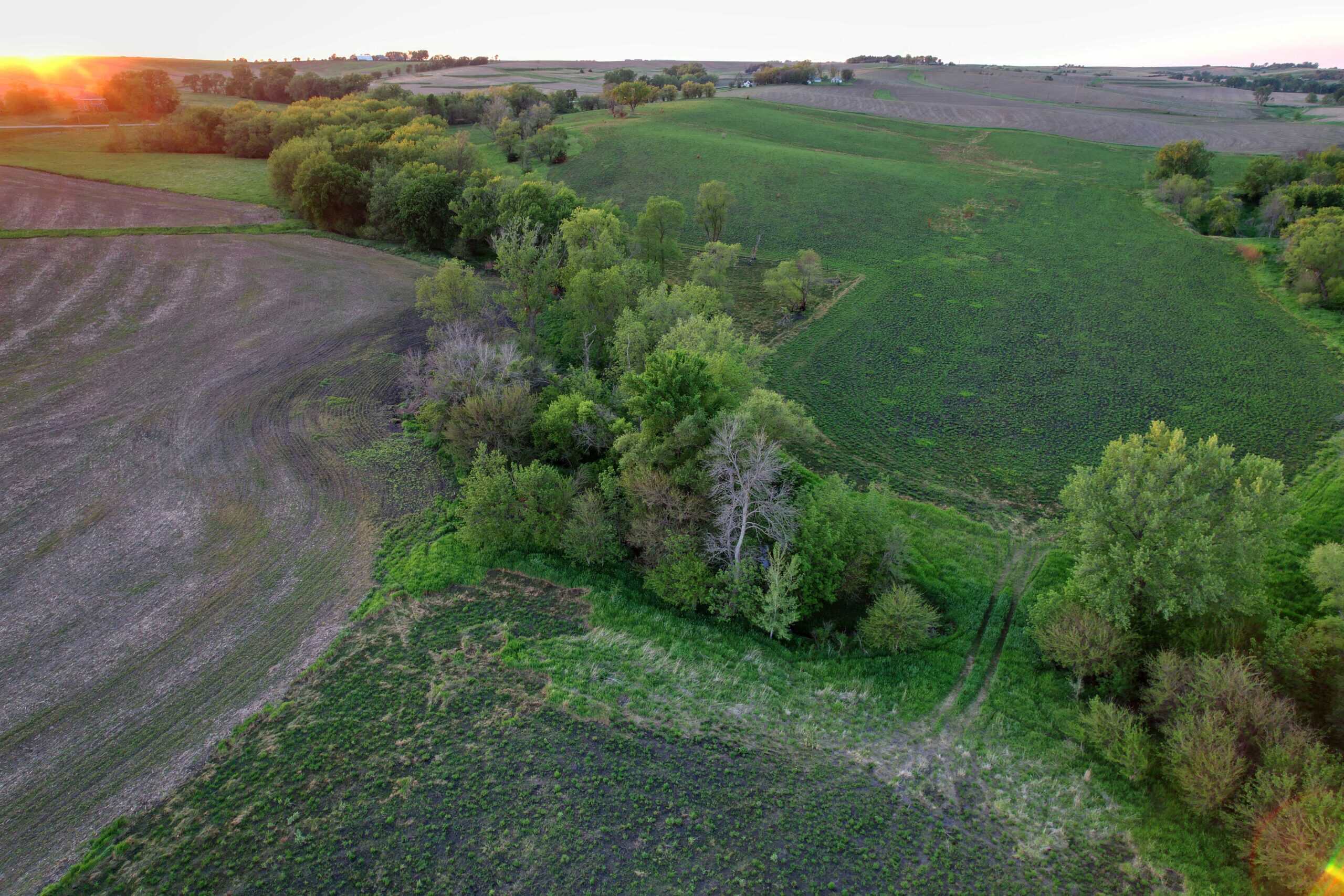 Western Iowa Income Producing Farm