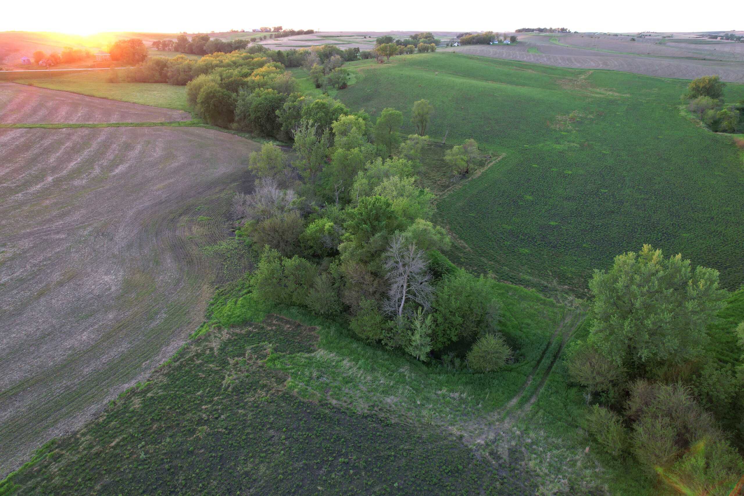 Western Iowa Income Producing Farm