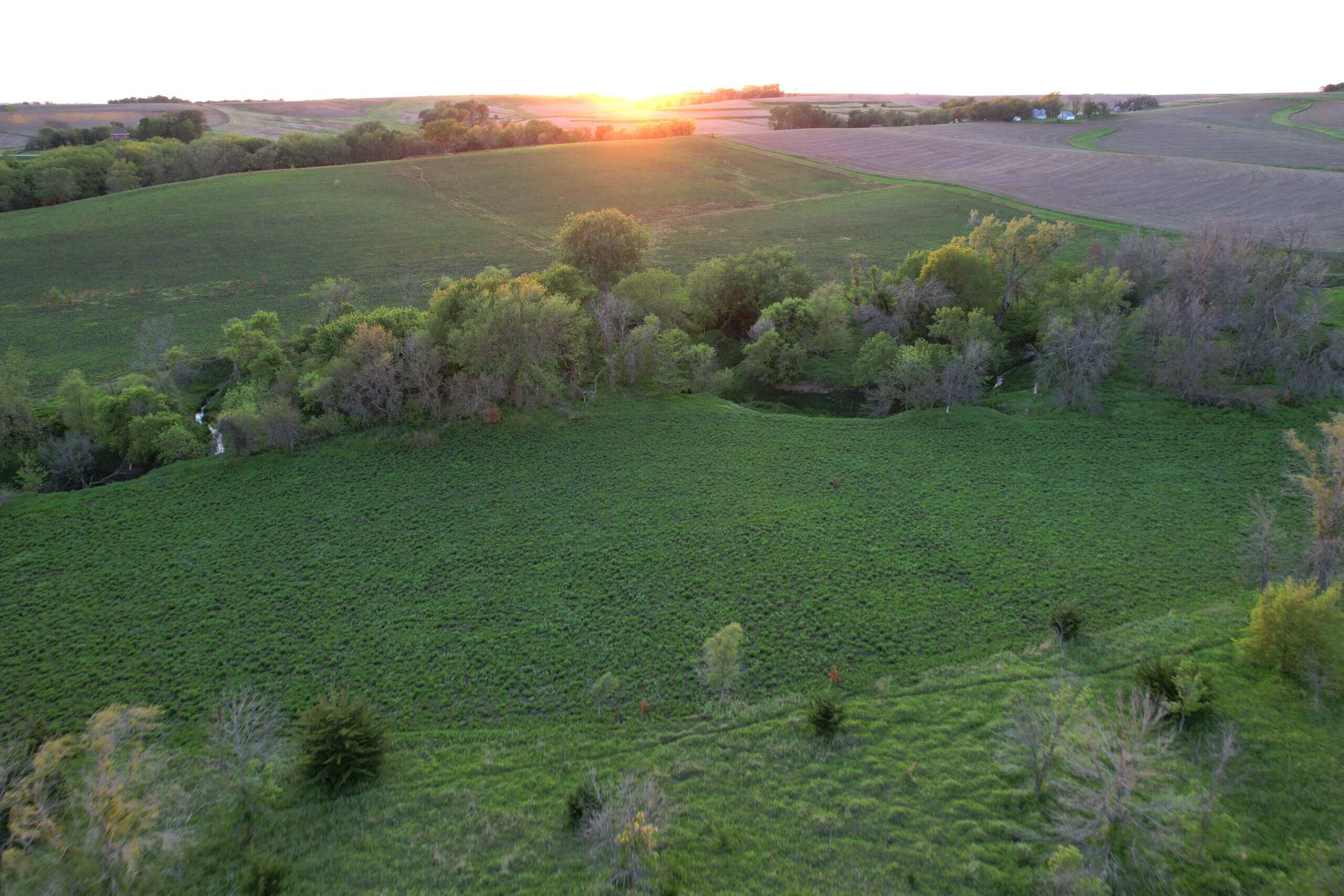 Western Iowa Income Producing Farm