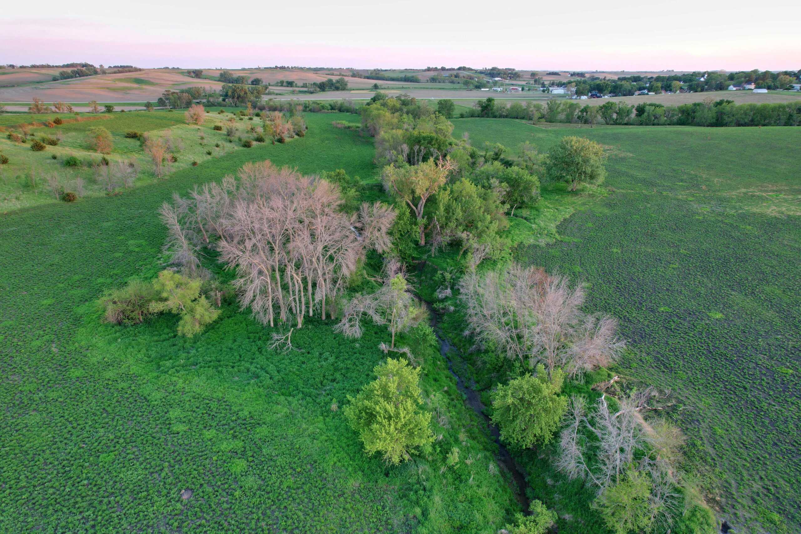 Western Iowa Income Producing Farm