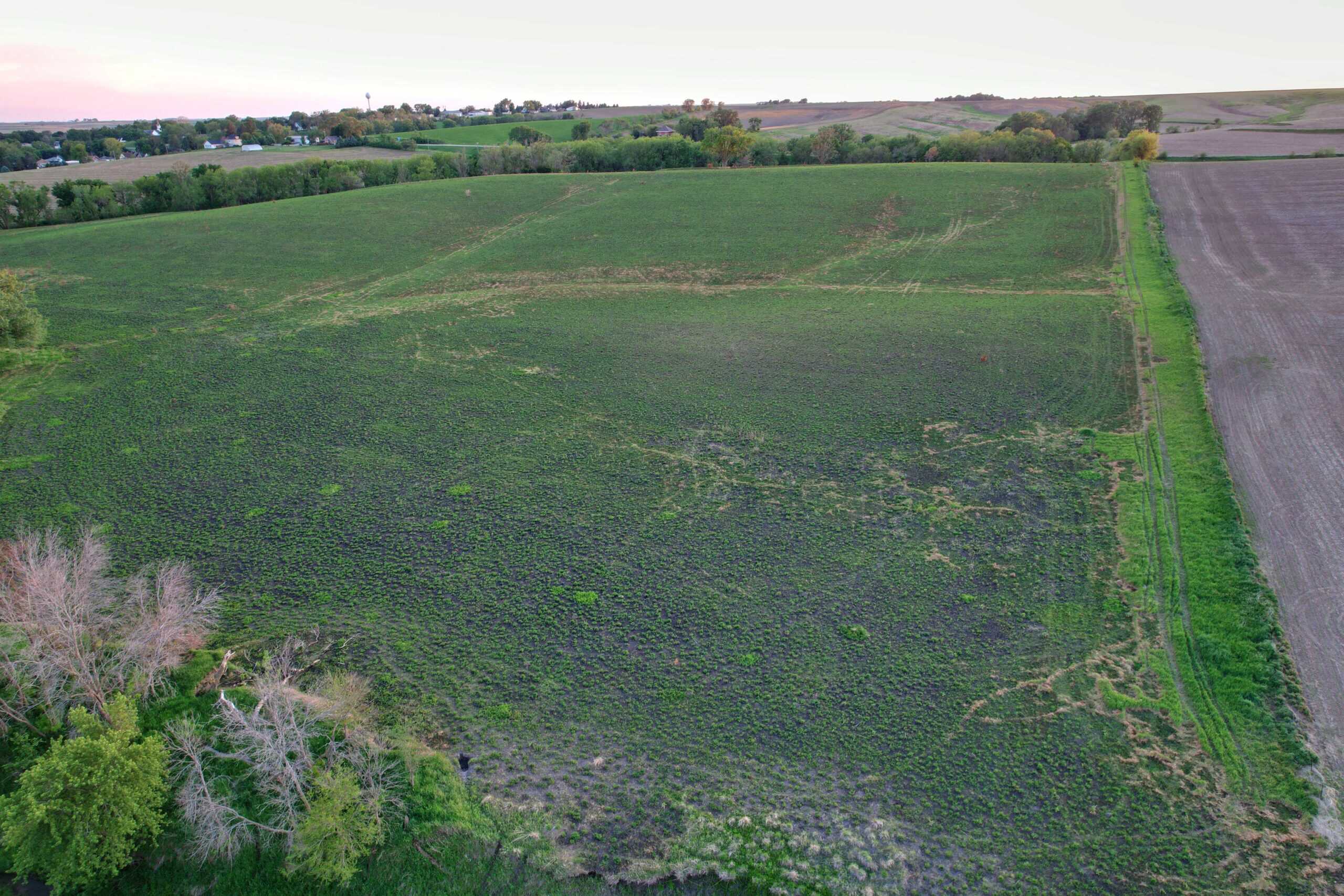 Western Iowa Income Producing Farm