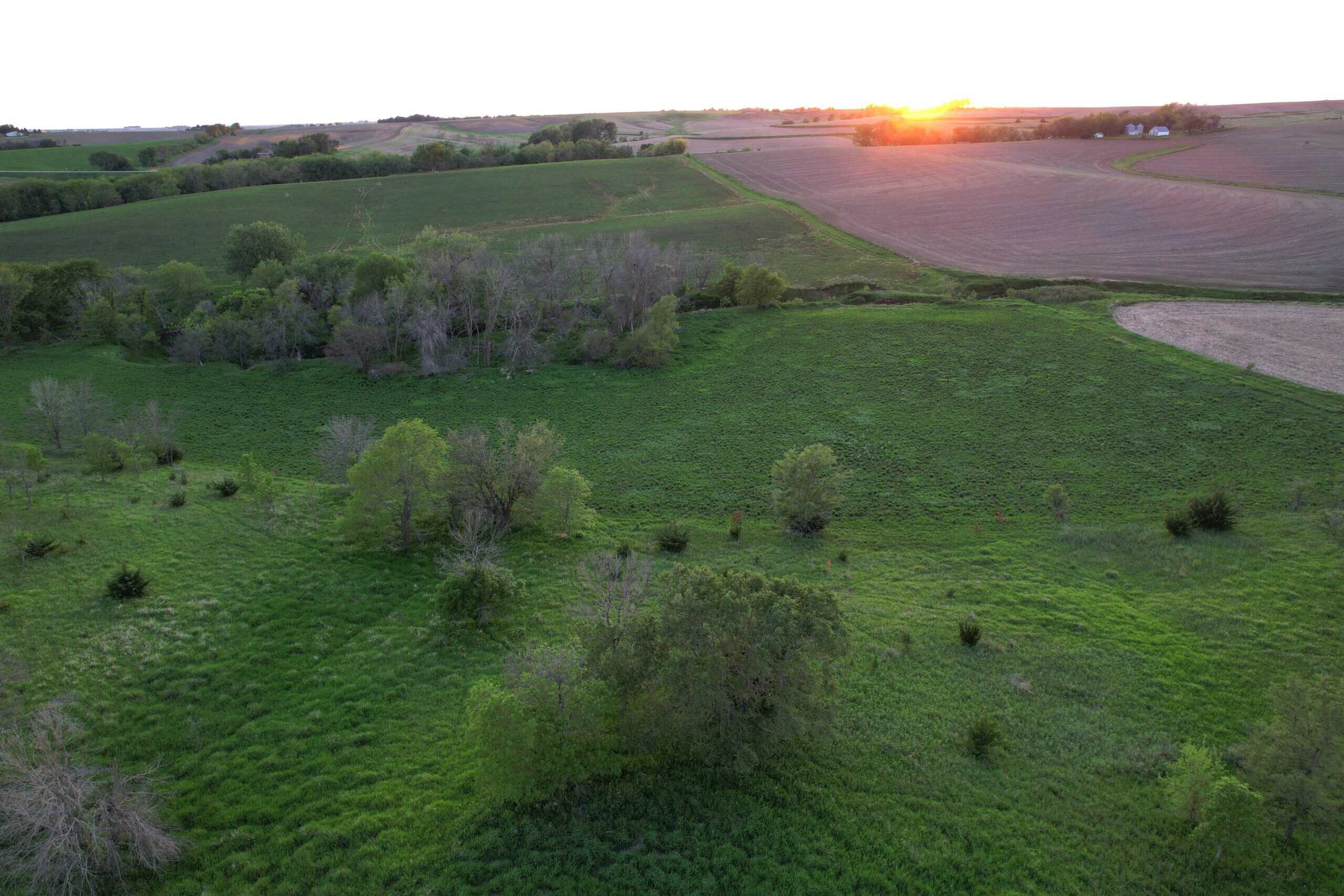 Western Iowa Income Producing Farm