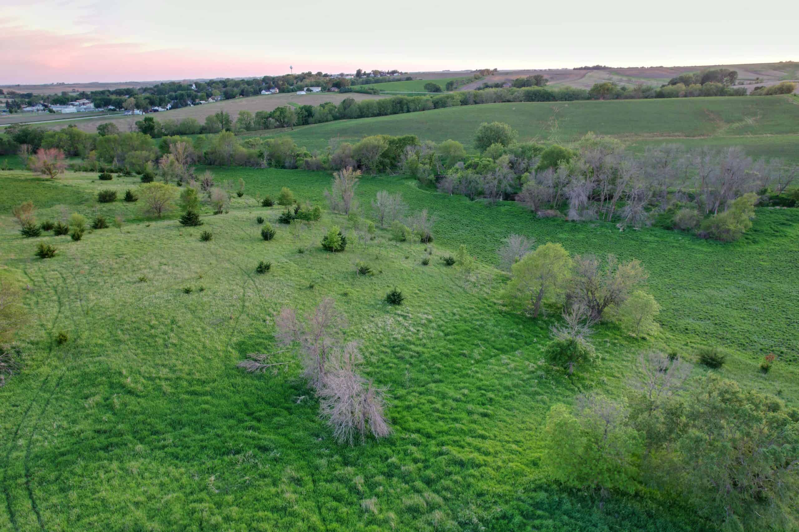 Western Iowa Income Producing Farm
