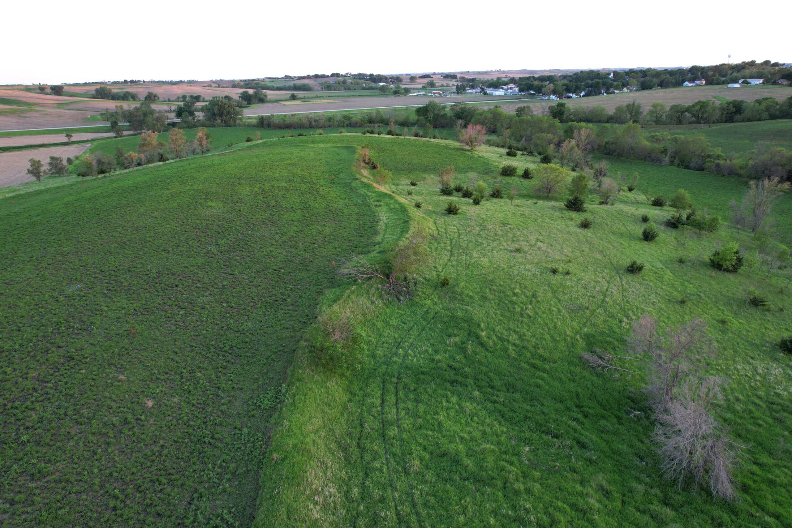 Western Iowa Income Producing Farm