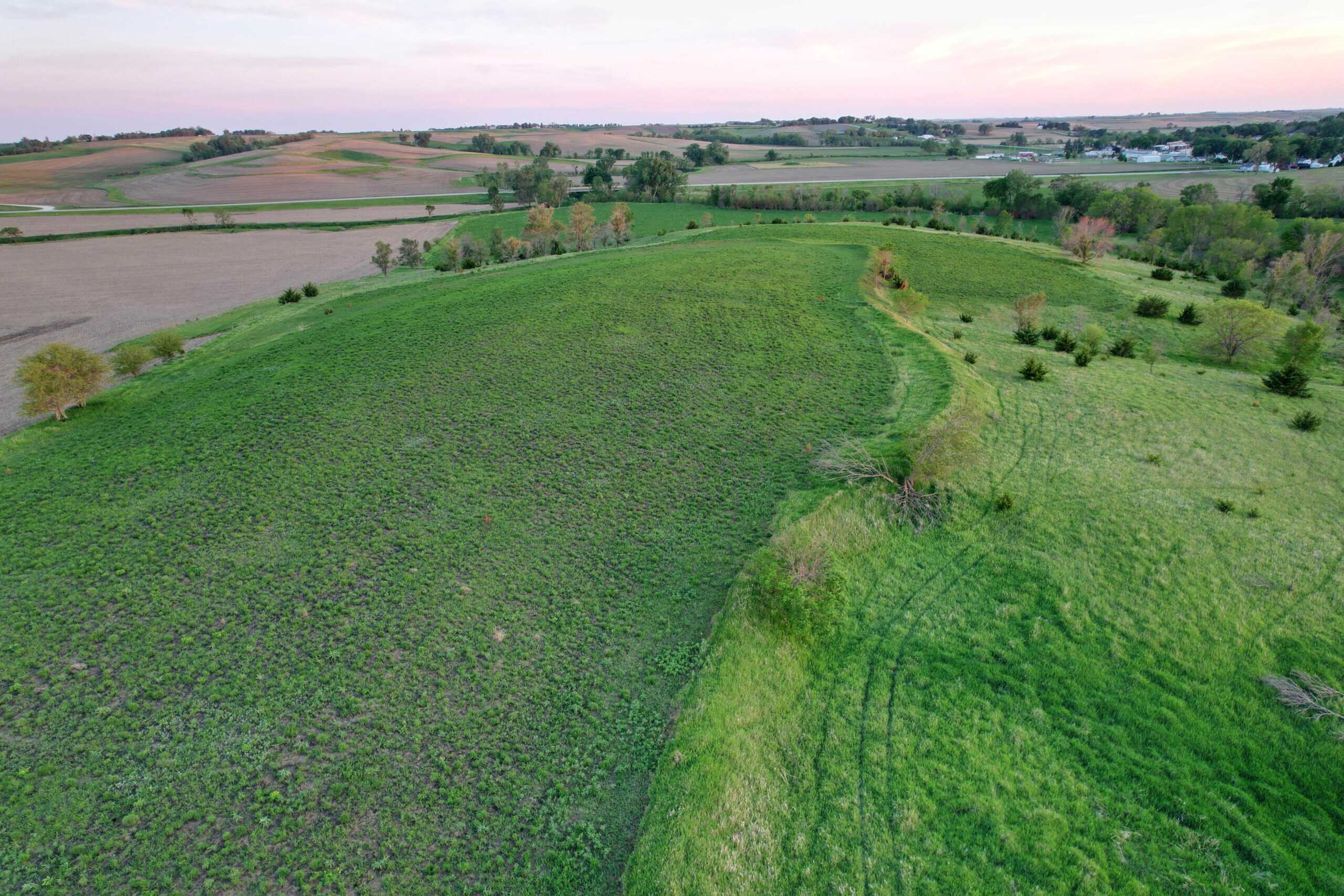 Western Iowa Income Producing Farm