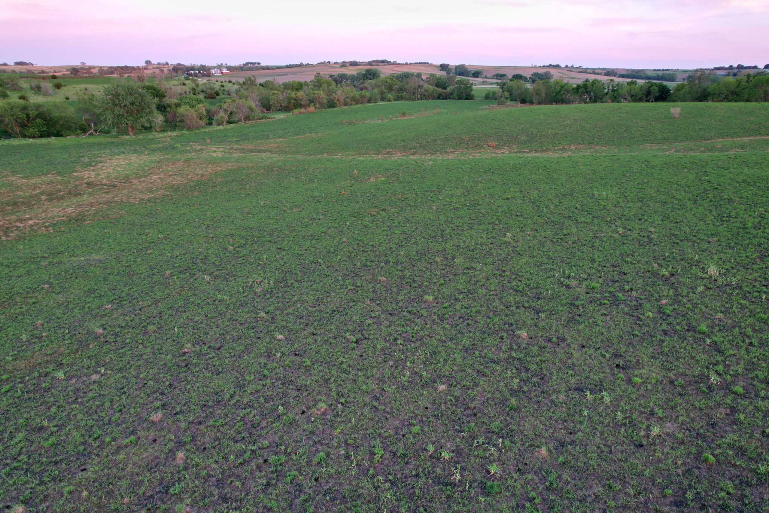 Western Iowa Income Producing Farm