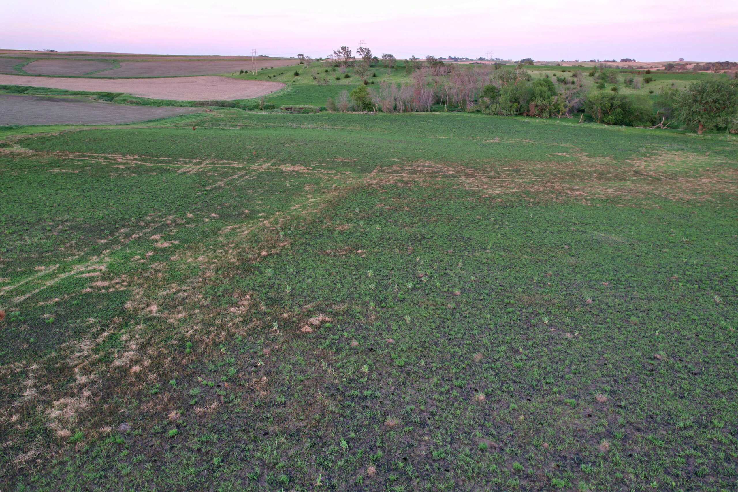 Western Iowa Income Producing Farm