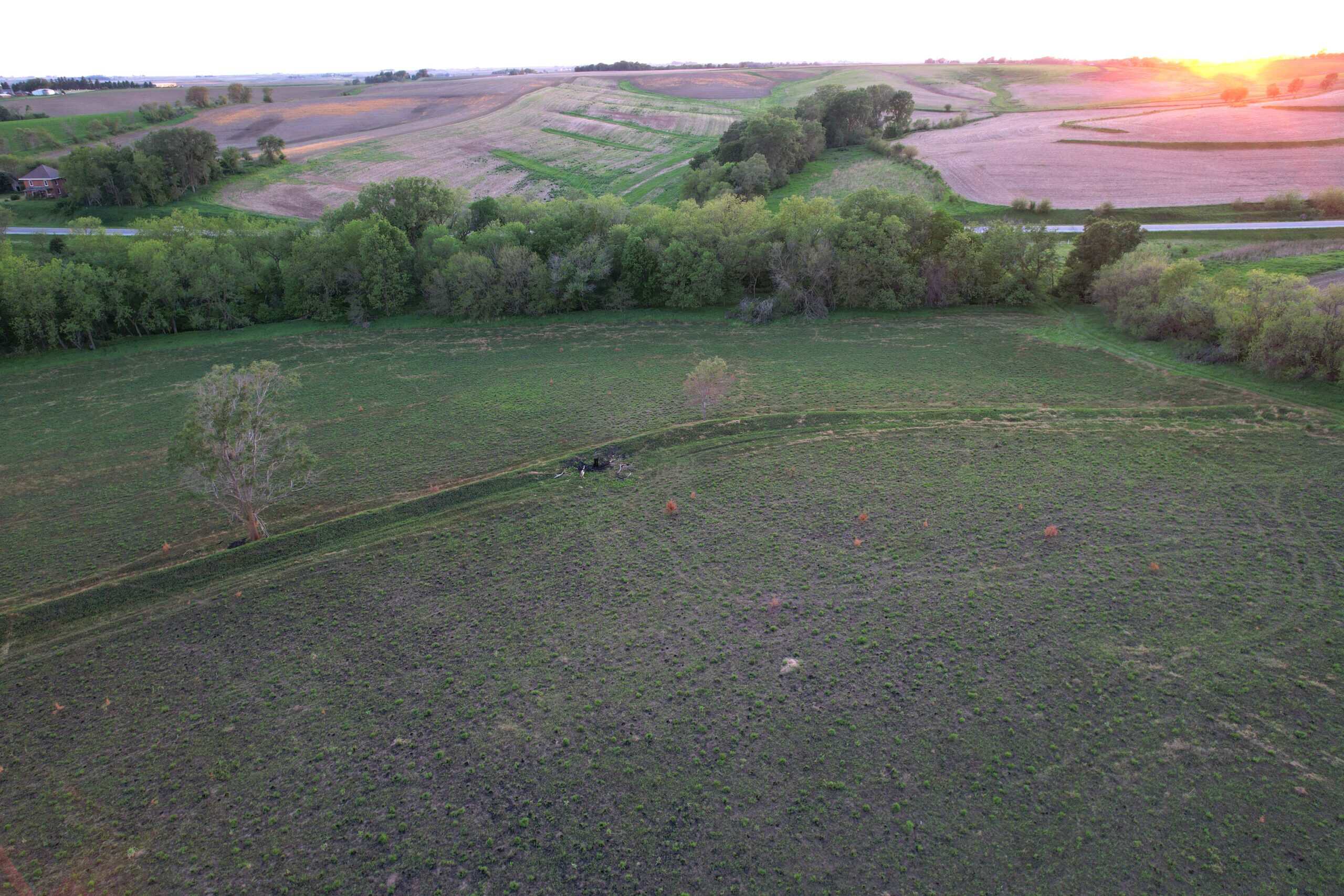 Western Iowa Income Producing Farm