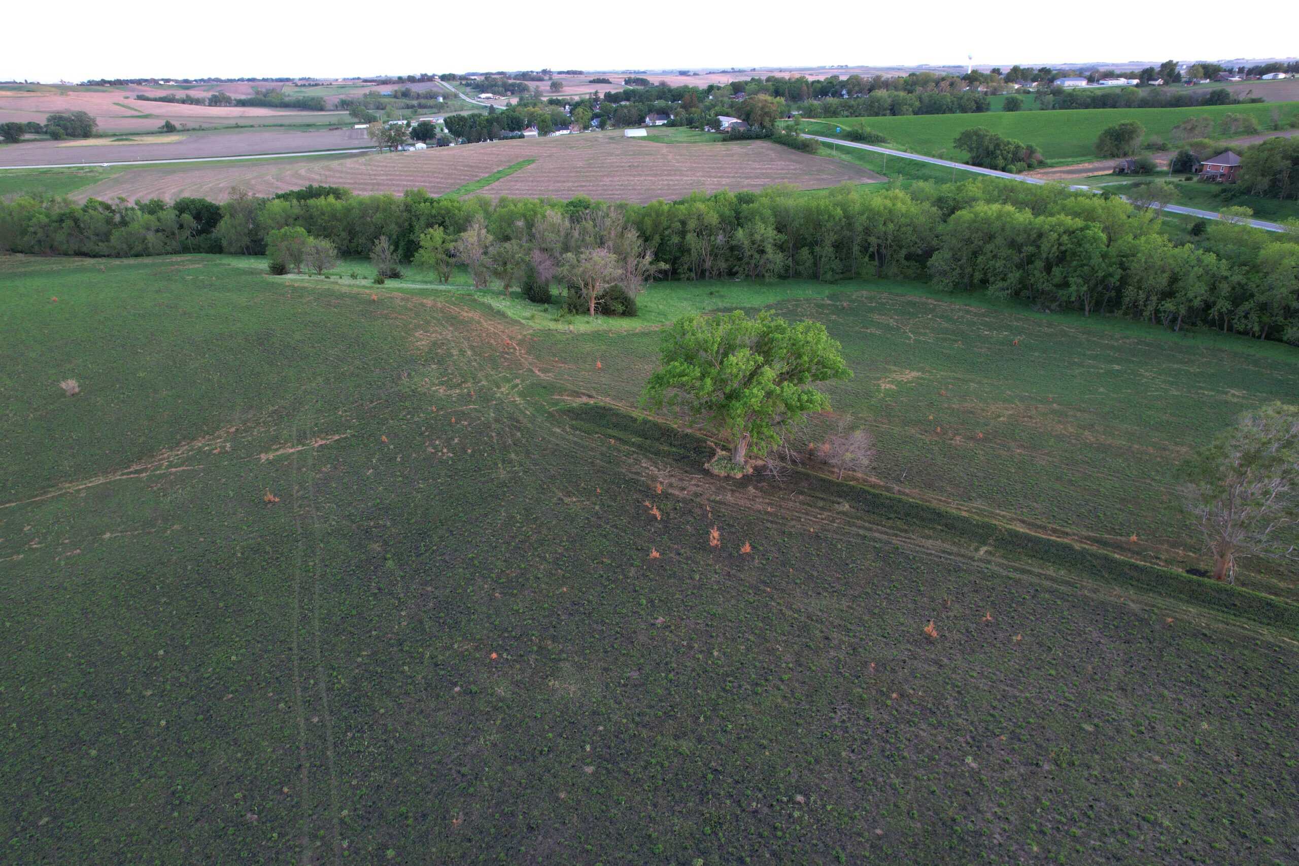 Western Iowa Income Producing Farm