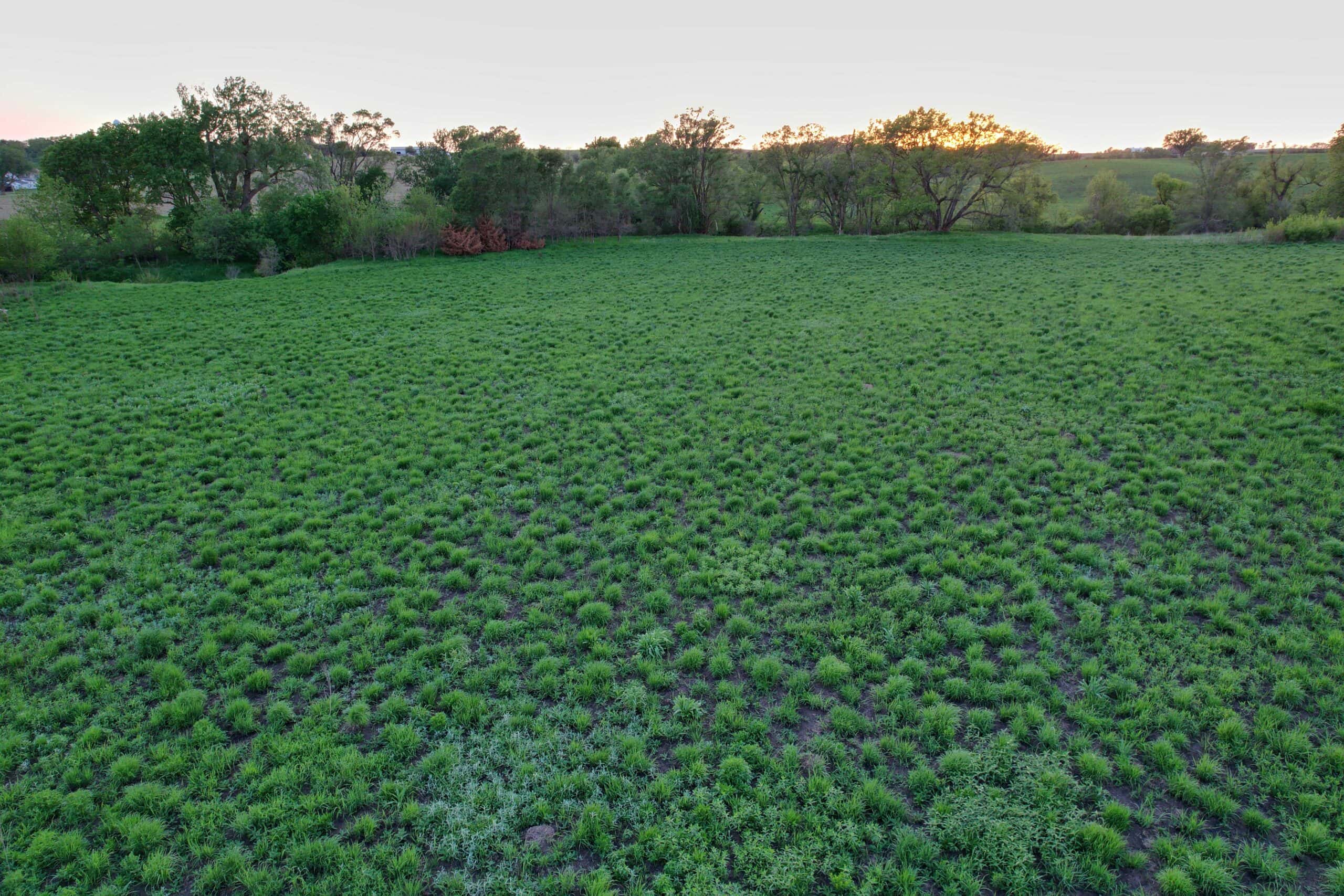 Western Iowa Income Producing Farm
