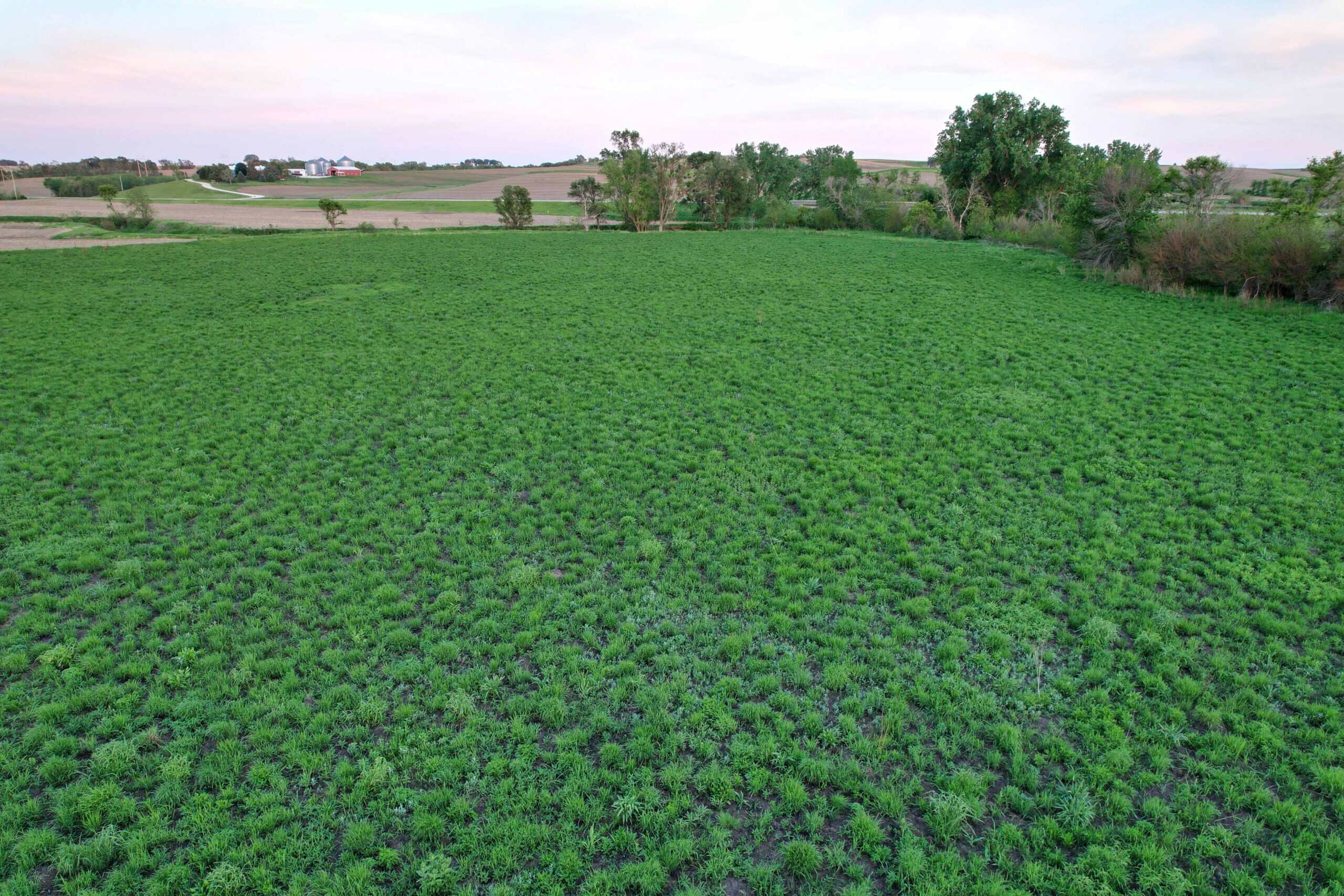 Western Iowa Income Producing Farm