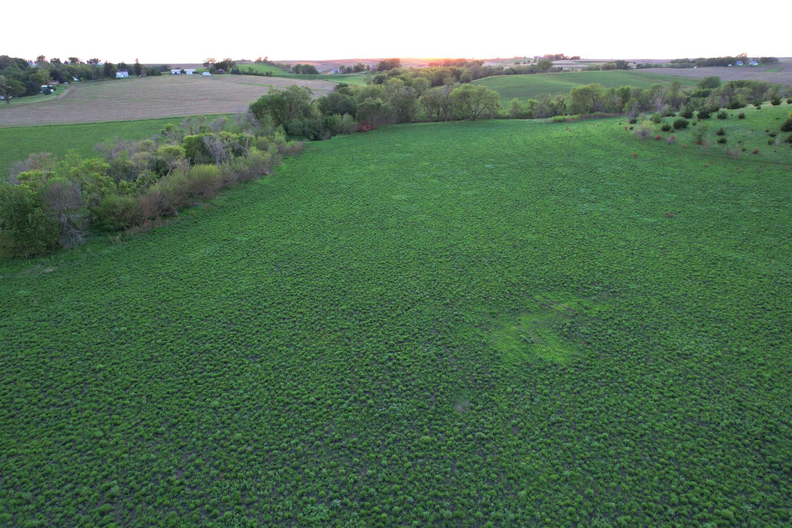 Western Iowa Income Producing Farm