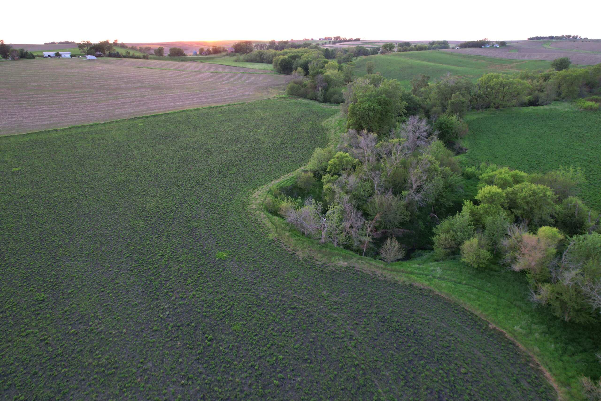 Western Iowa Income Producing Farm