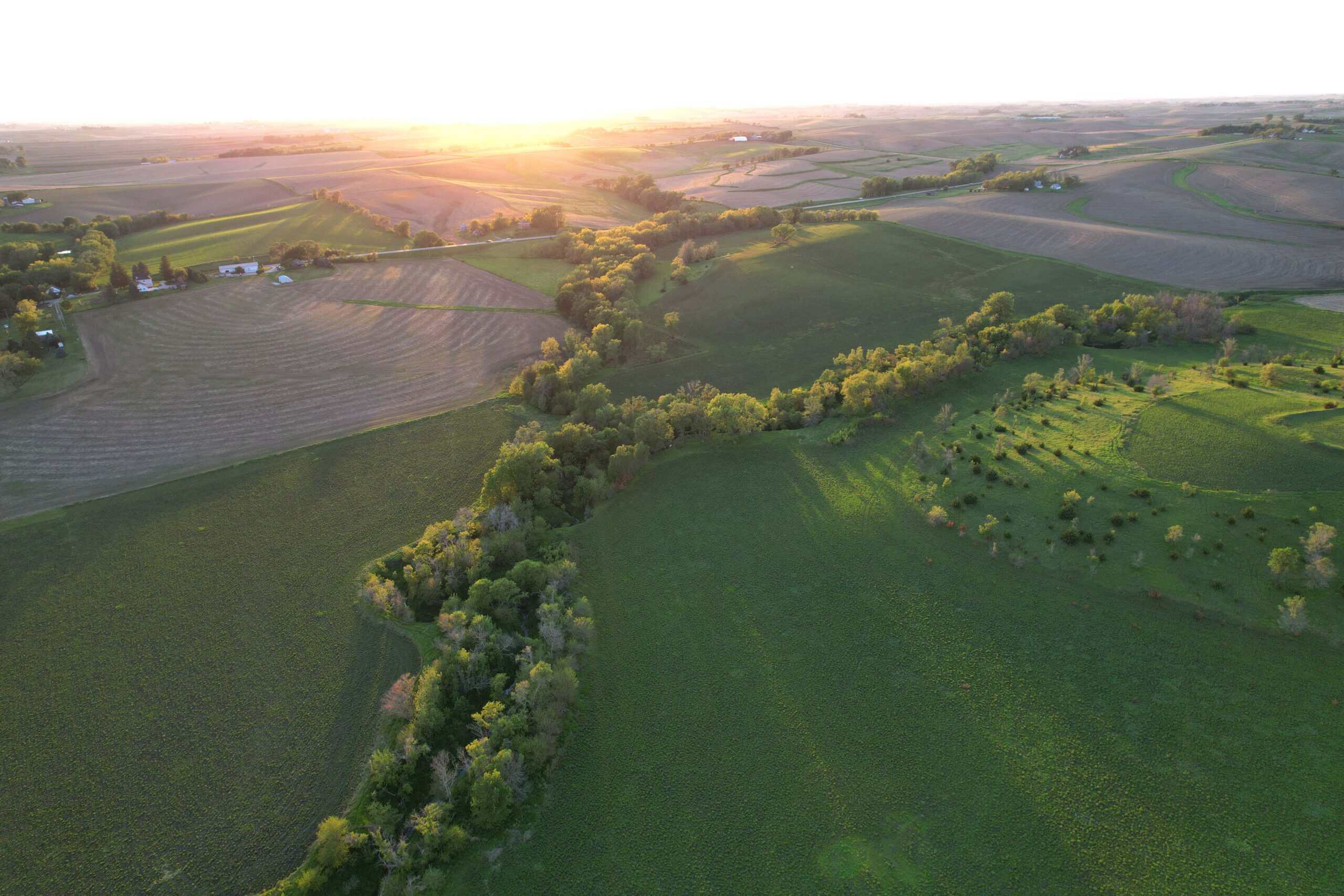 Western Iowa Income Producing Farm