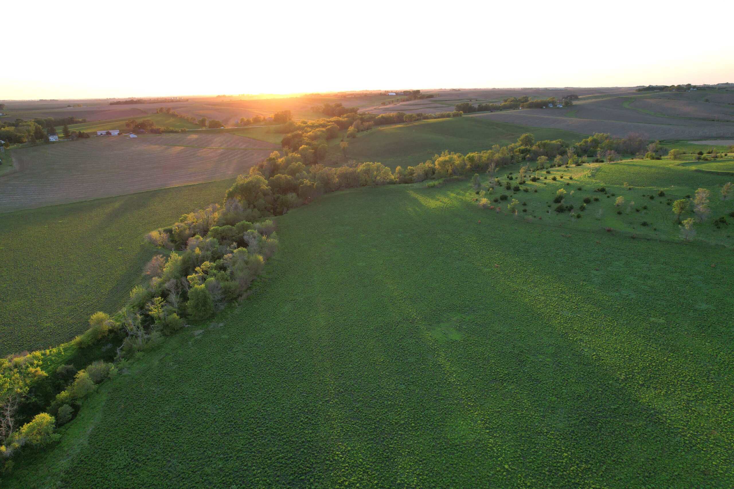 Western Iowa Income Producing Farm