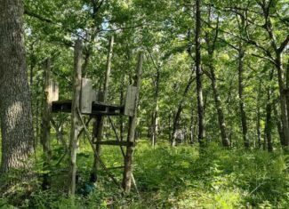 Hunting & Recreational Land For Sale Eldridge, Laclede County Mo.