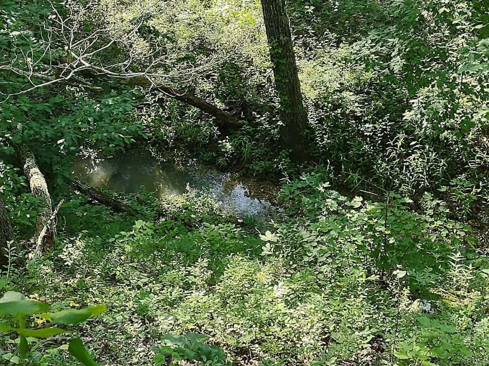 Hunting & Recreational Land For Sale Eldridge, Laclede County Mo.