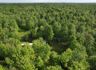 120 ± Acres Bordering Chequamegon National Forest – Ogema, WI
