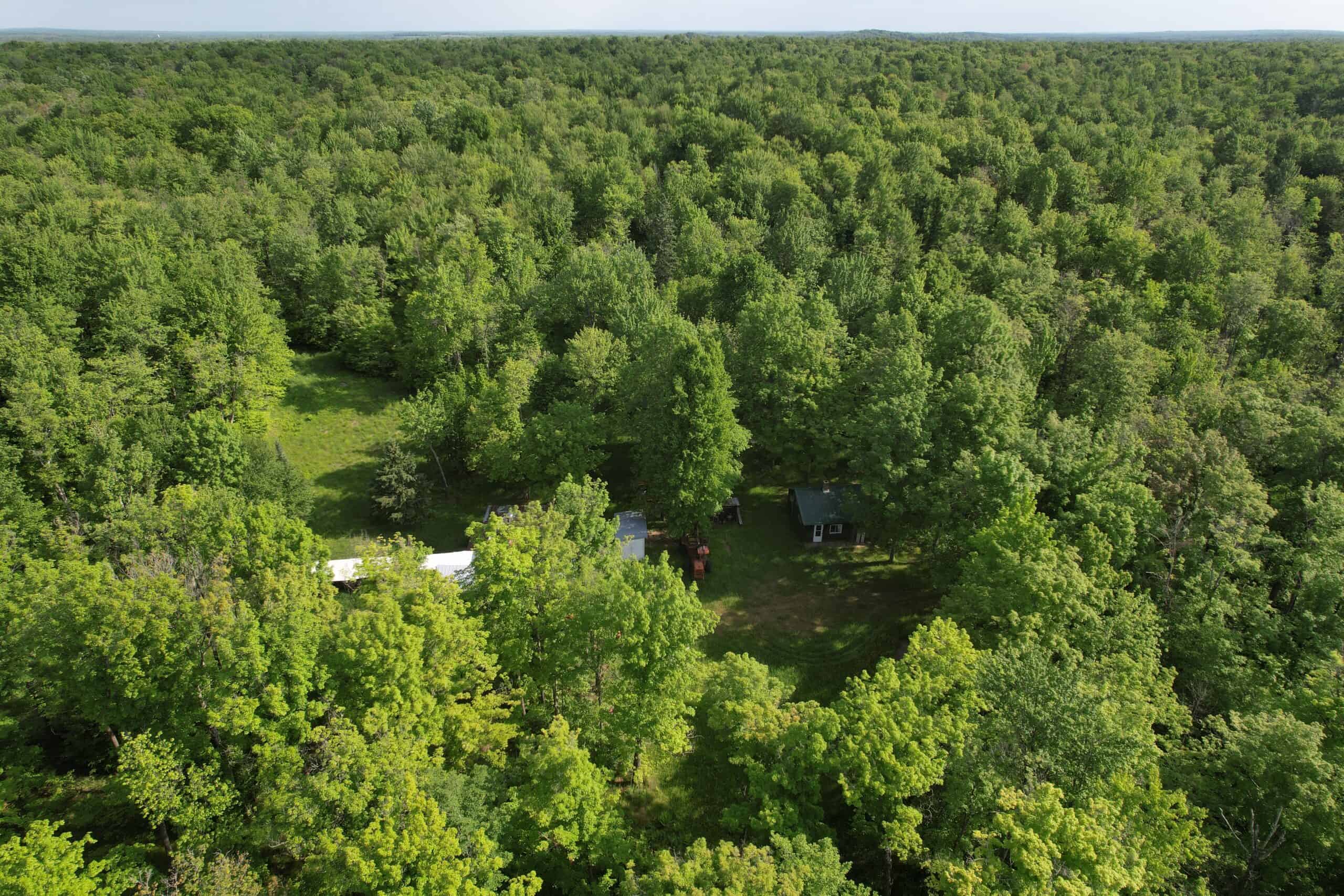 120 ± Acres Bordering Chequamegon National Forest – Ogema, WI