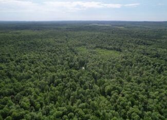 120 ± Acres Bordering Chequamegon National Forest – Ogema, WI
