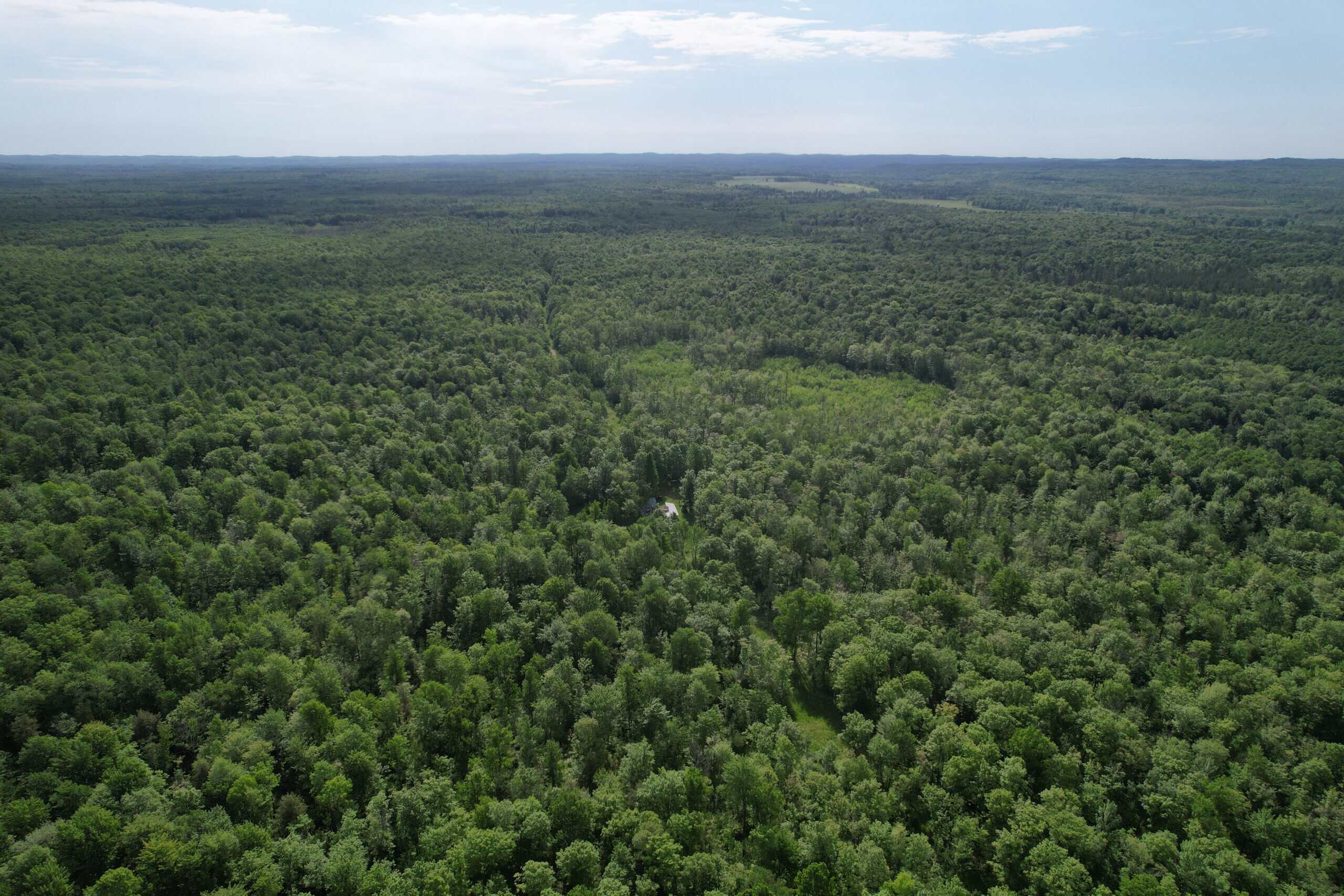 120 ± Acres Bordering Chequamegon National Forest – Ogema, WI
