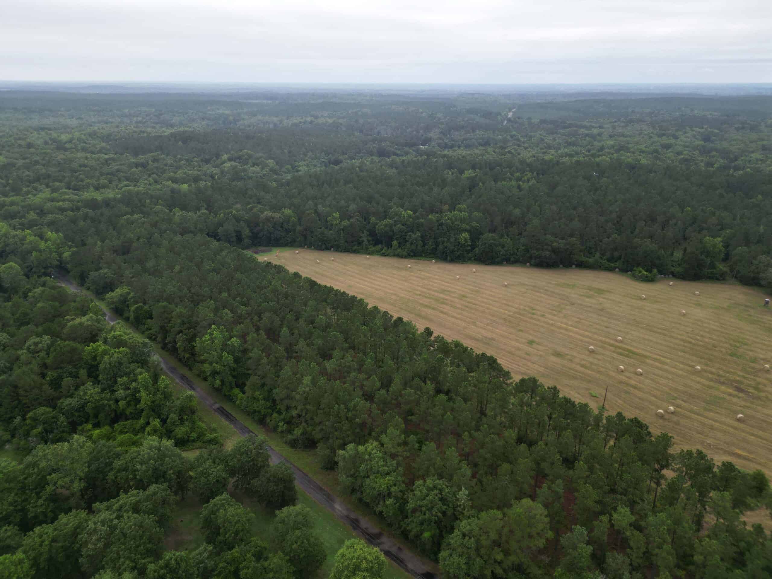 East Texas Land For Sale in McLeod, Texas
