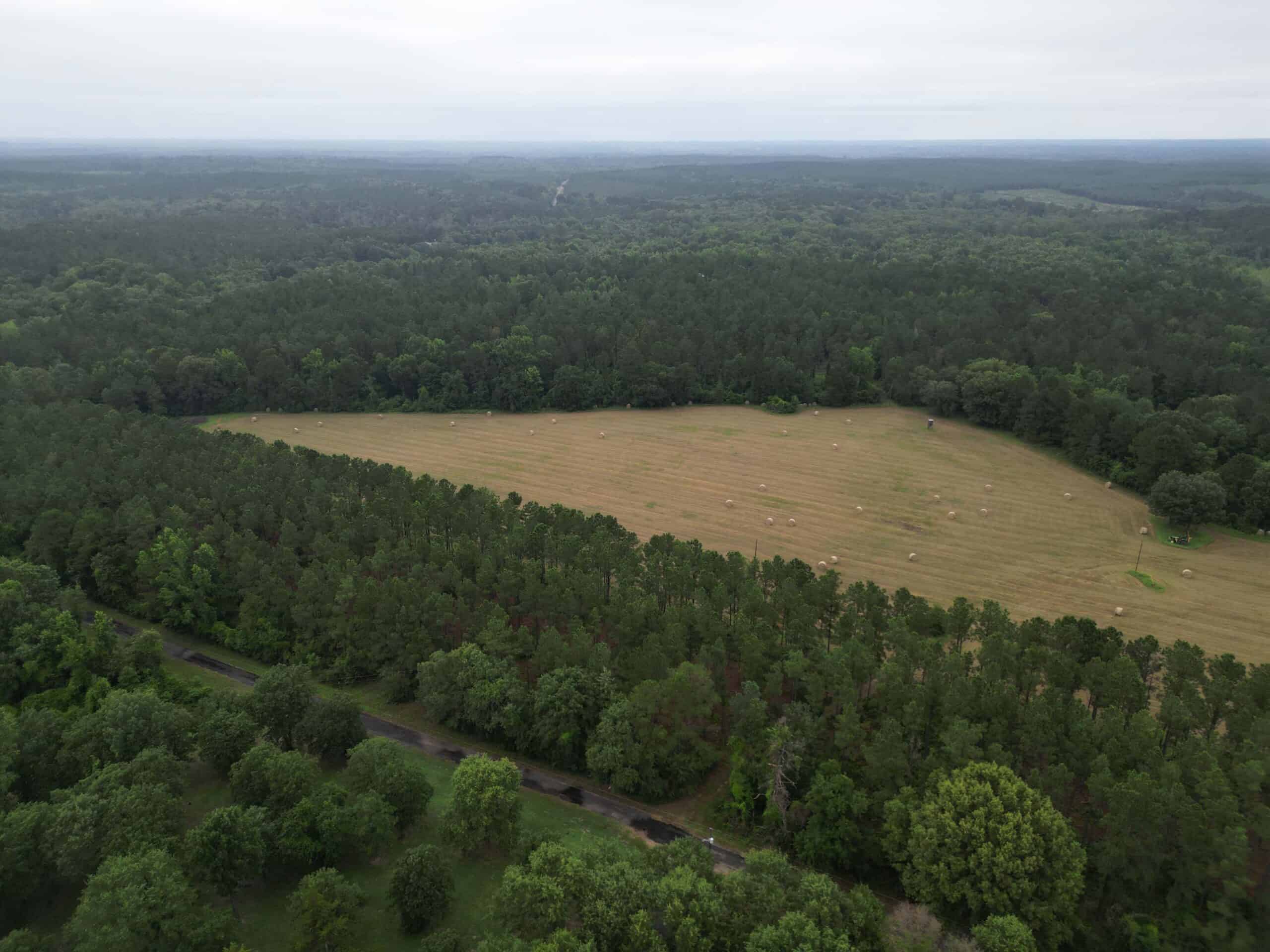 East Texas Land For Sale in McLeod, Texas