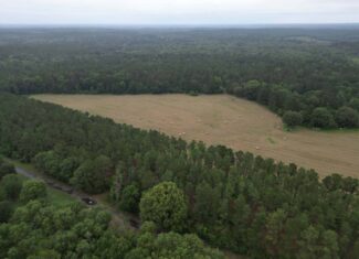 East Texas Land For Sale in McLeod, Texas