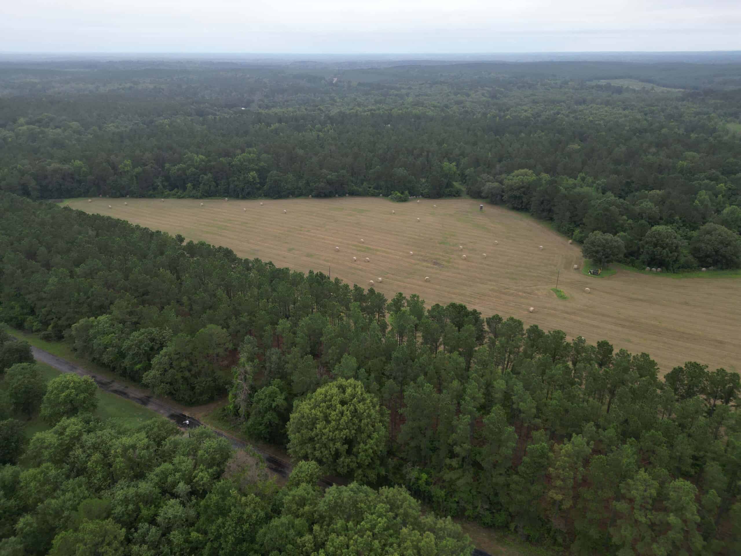 East Texas Land For Sale in McLeod, Texas