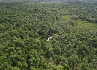 120 ± Acres Bordering Chequamegon National Forest – Ogema, WI