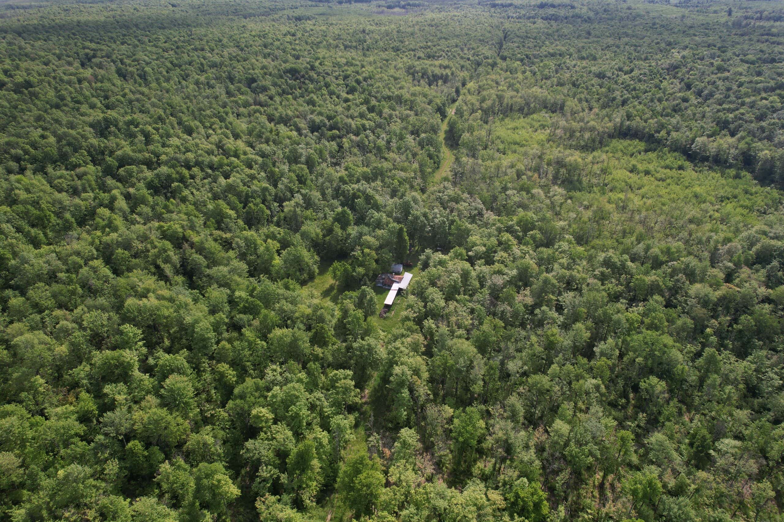 120 ± Acres Bordering Chequamegon National Forest – Ogema, WI